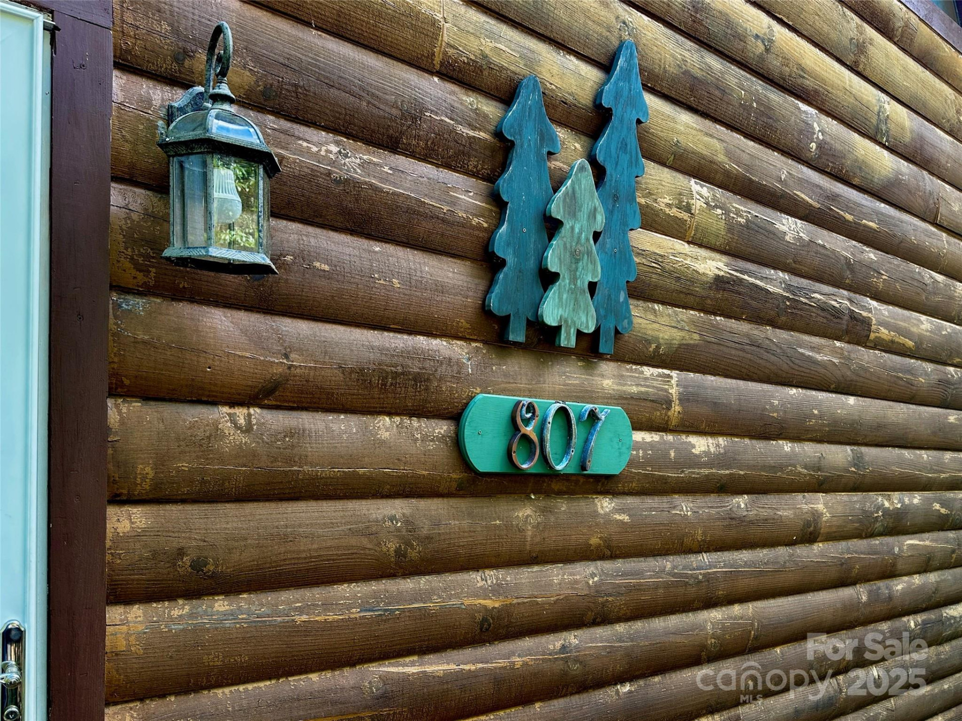 807 Pine Tree Road - Photo 48