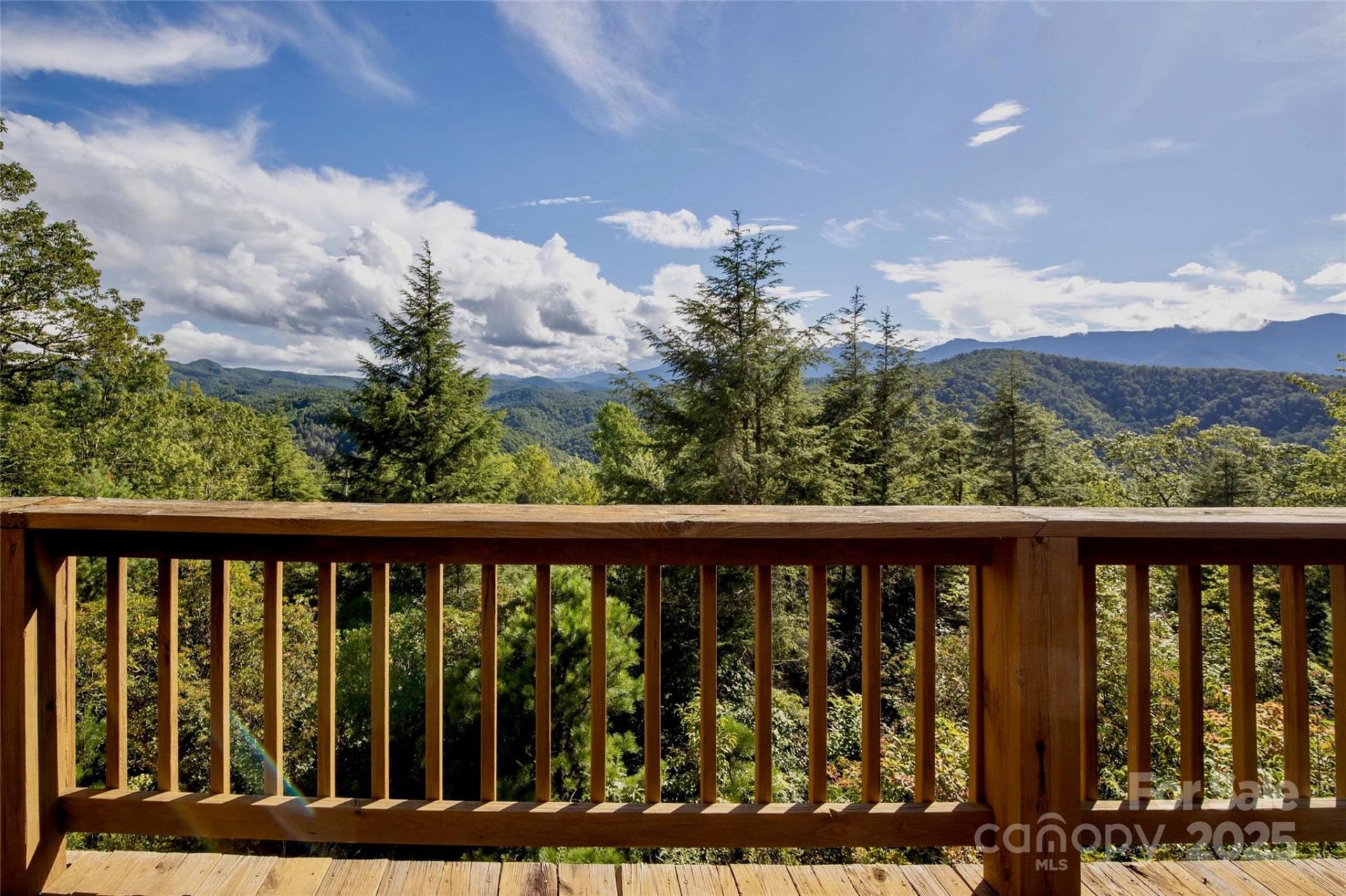 807 Pine Tree Road - Photo 6