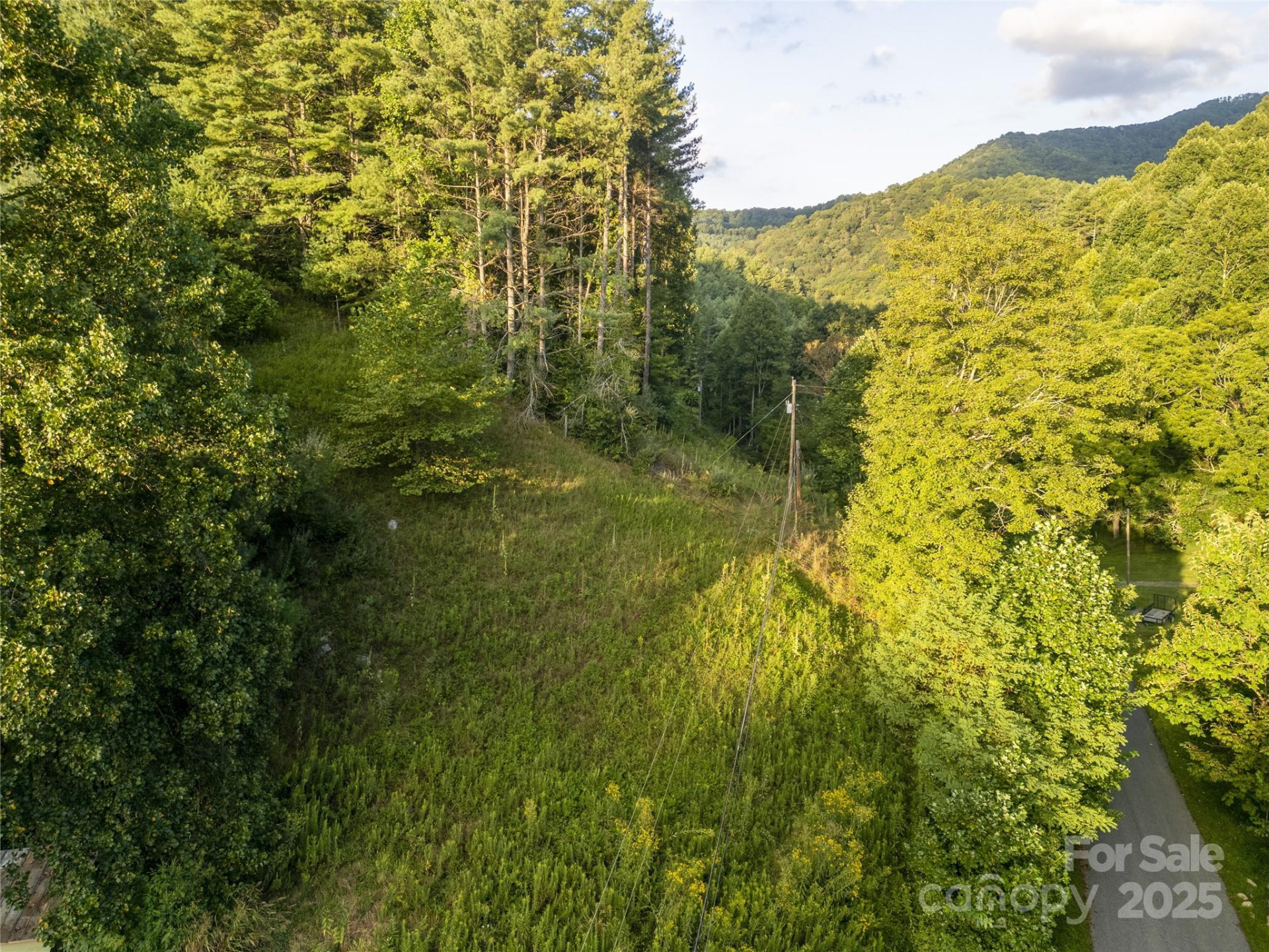 TBD Butter Sop Road - Photo 11