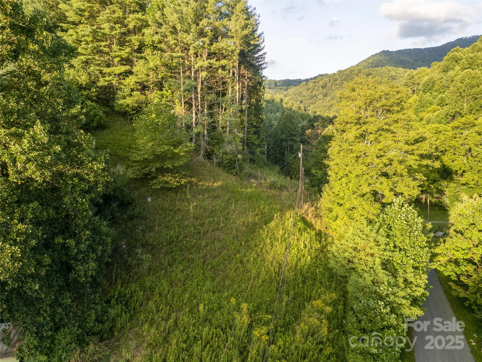 TBD Butter Sop Road - Photo 11