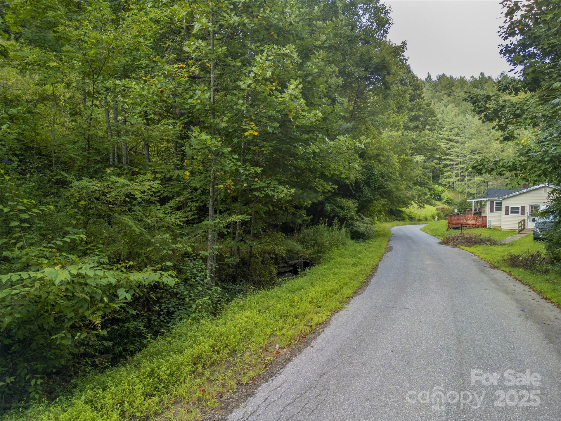 TBD Butter Sop Road - Photo 19