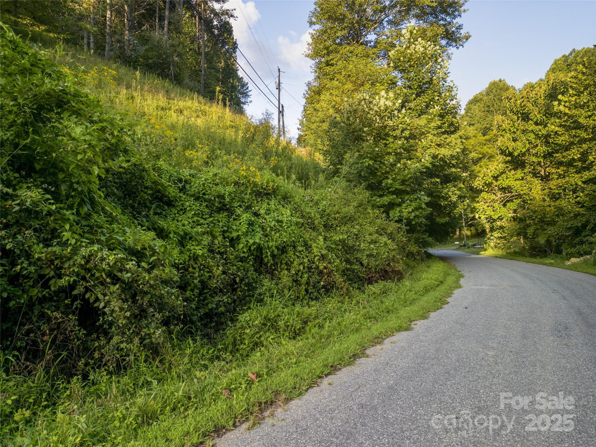 TBD Butter Sop Road - Photo 21