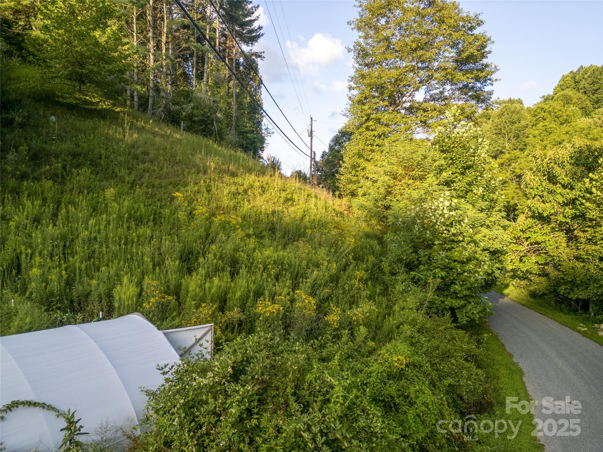 TBD Butter Sop Road - Photo 7