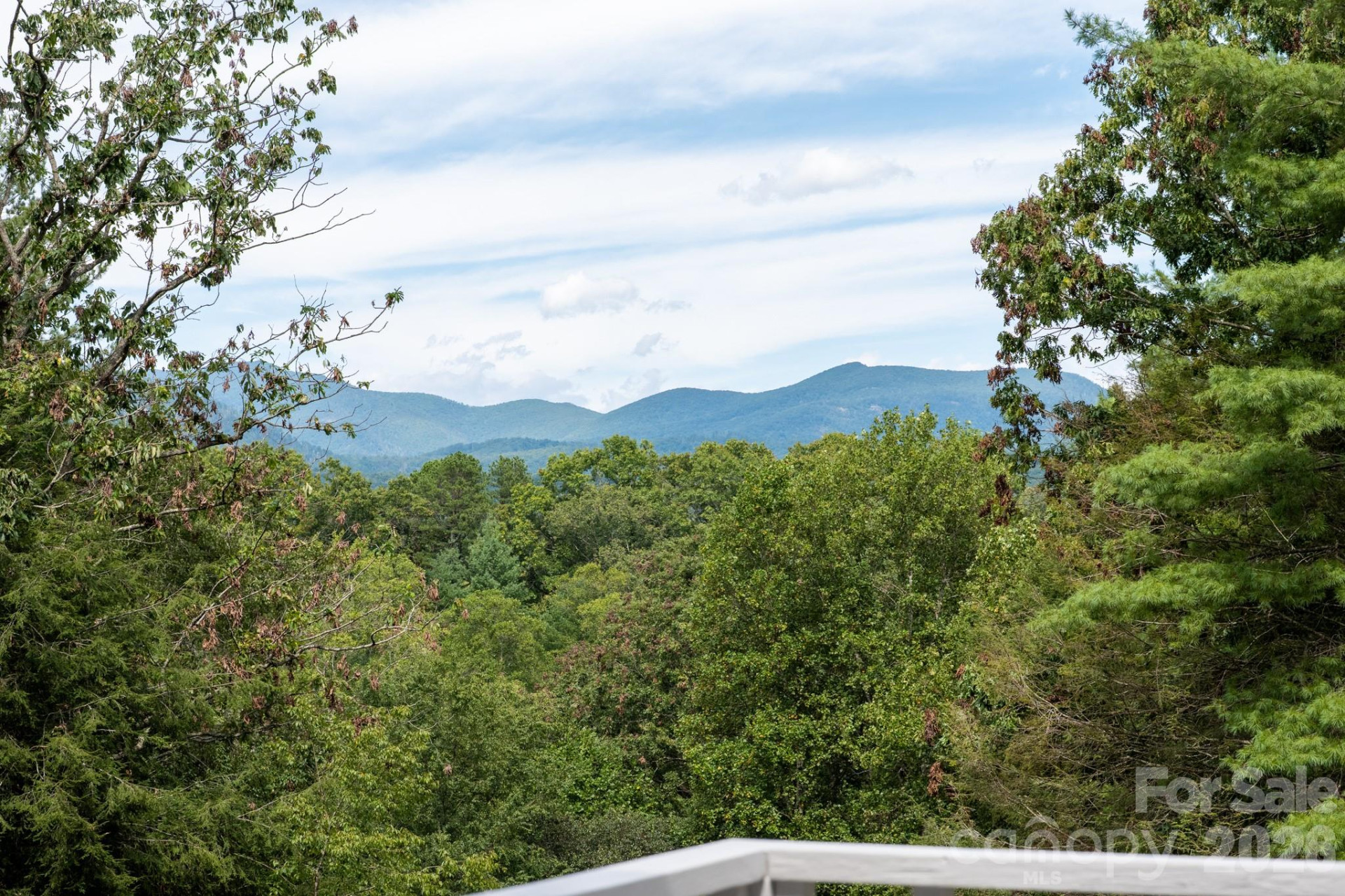 50 Springwood Drive - Photo 29