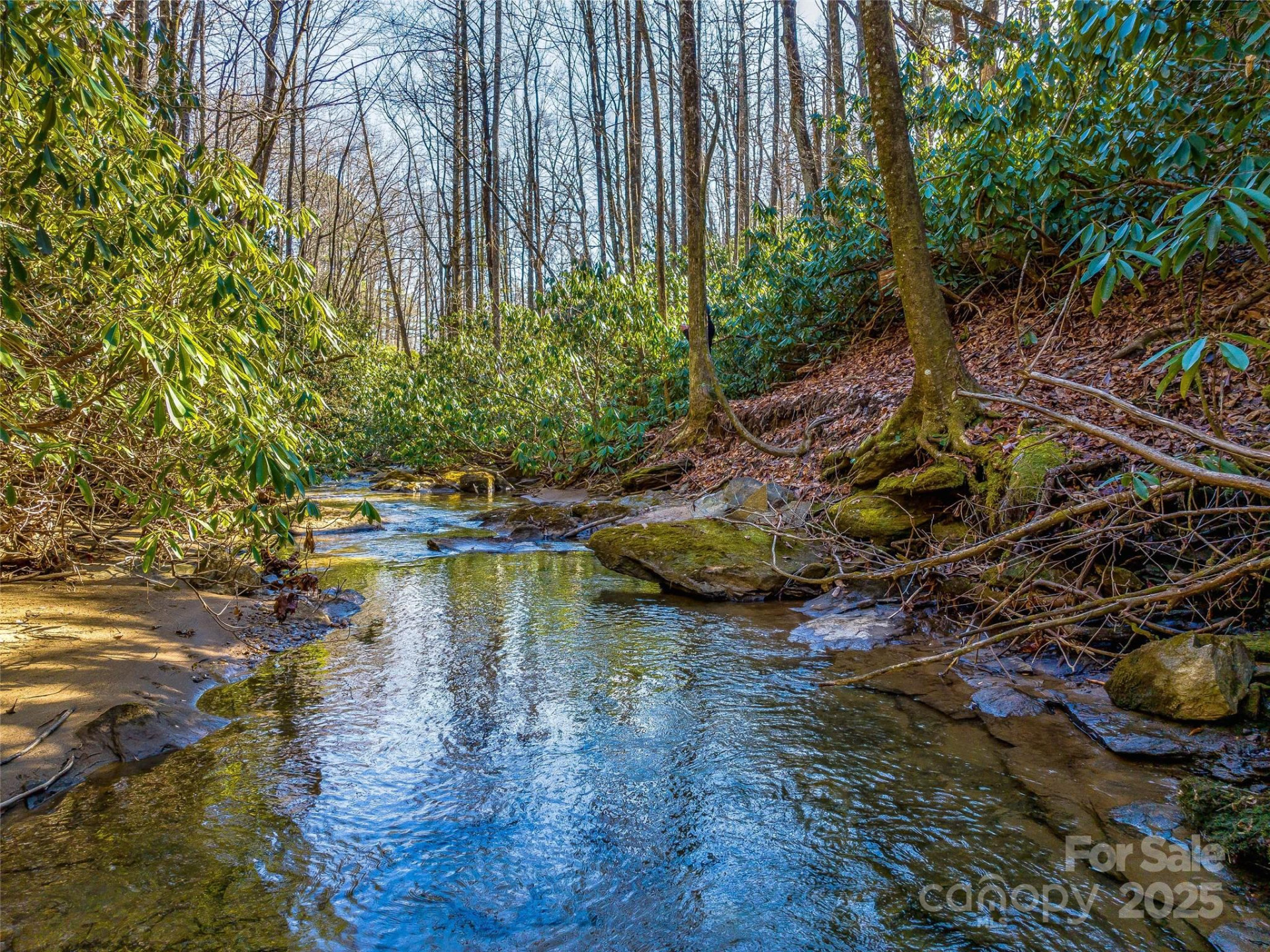 1411 Cabin Creek Road - Photo 11