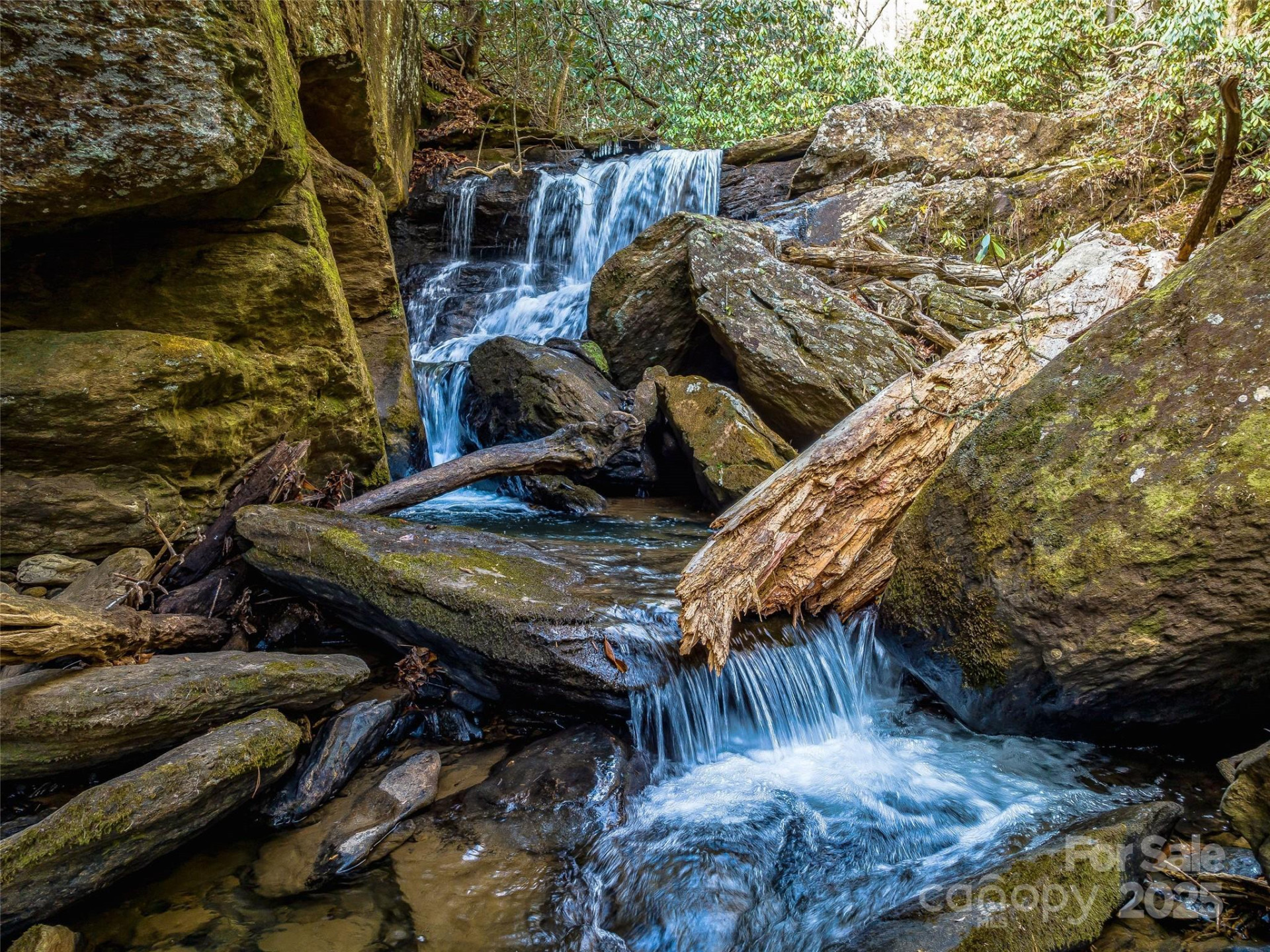 1411 Cabin Creek Road - Photo 12