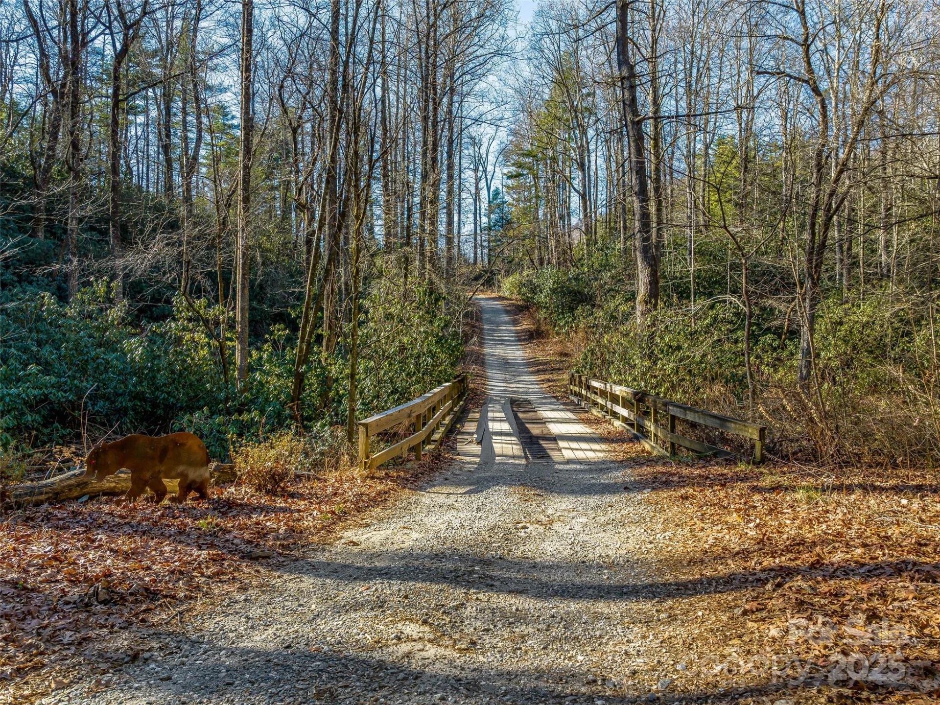 1411 Cabin Creek Road - Photo 41