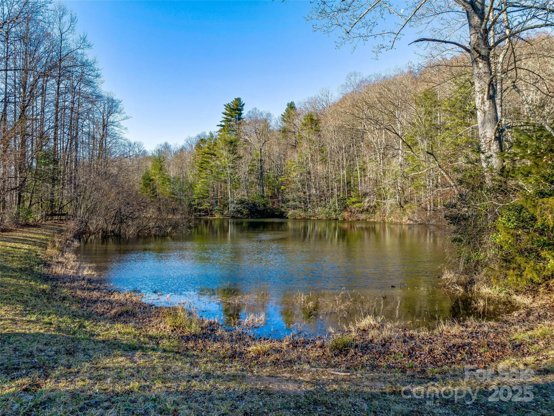 1411 Cabin Creek Road - Photo 42