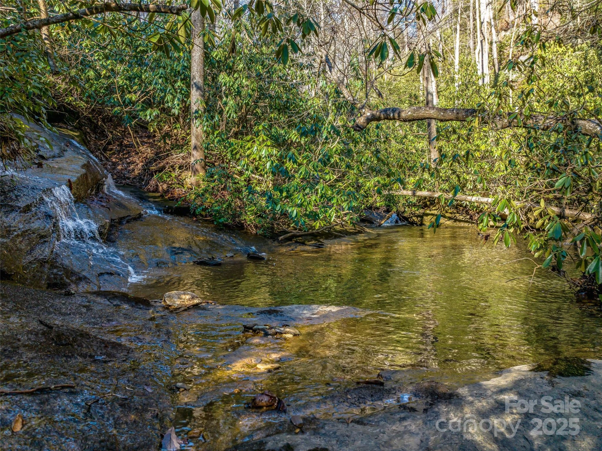 1411 Cabin Creek Road - Photo 43