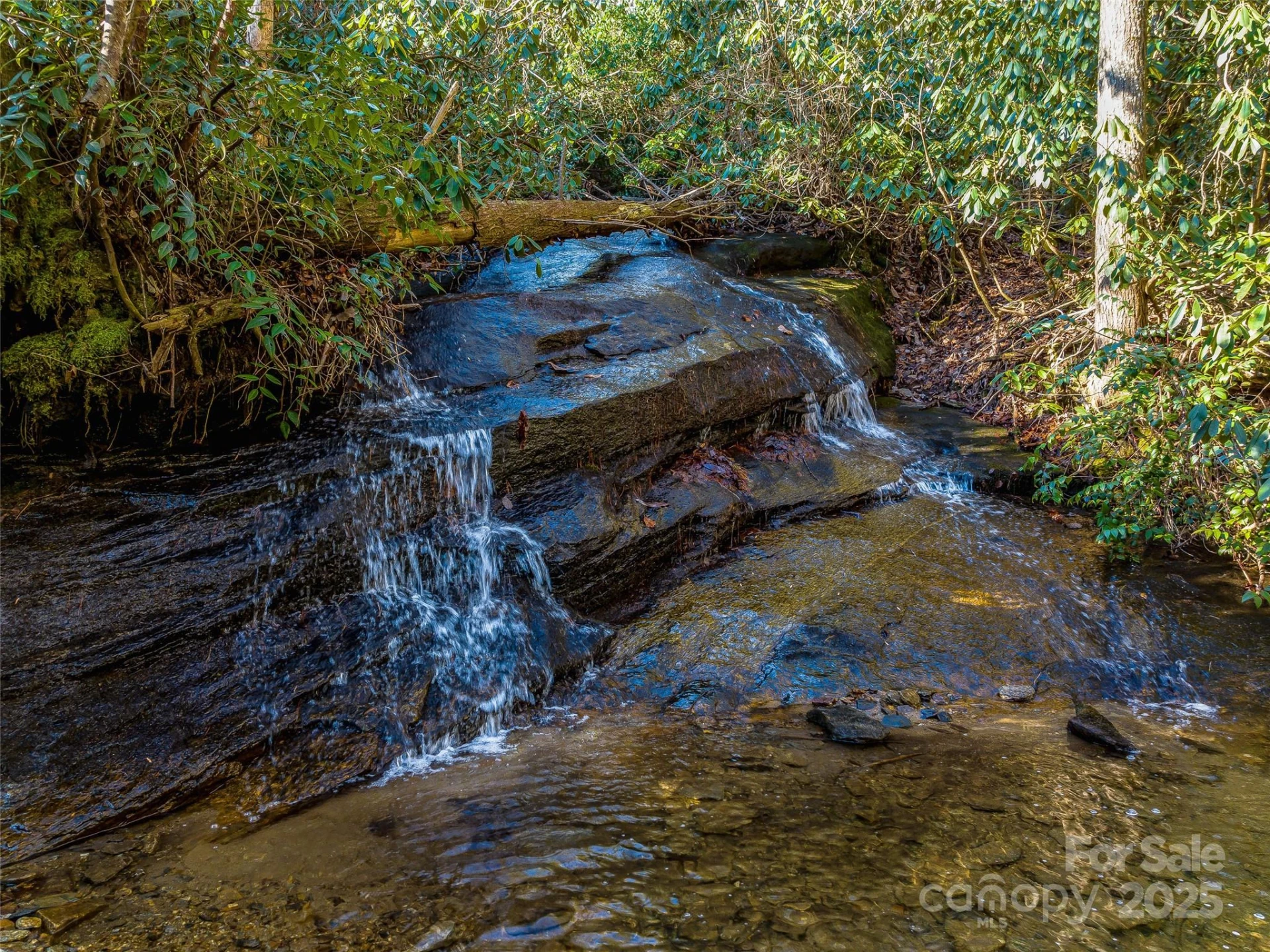 1411 Cabin Creek Road - Photo 44