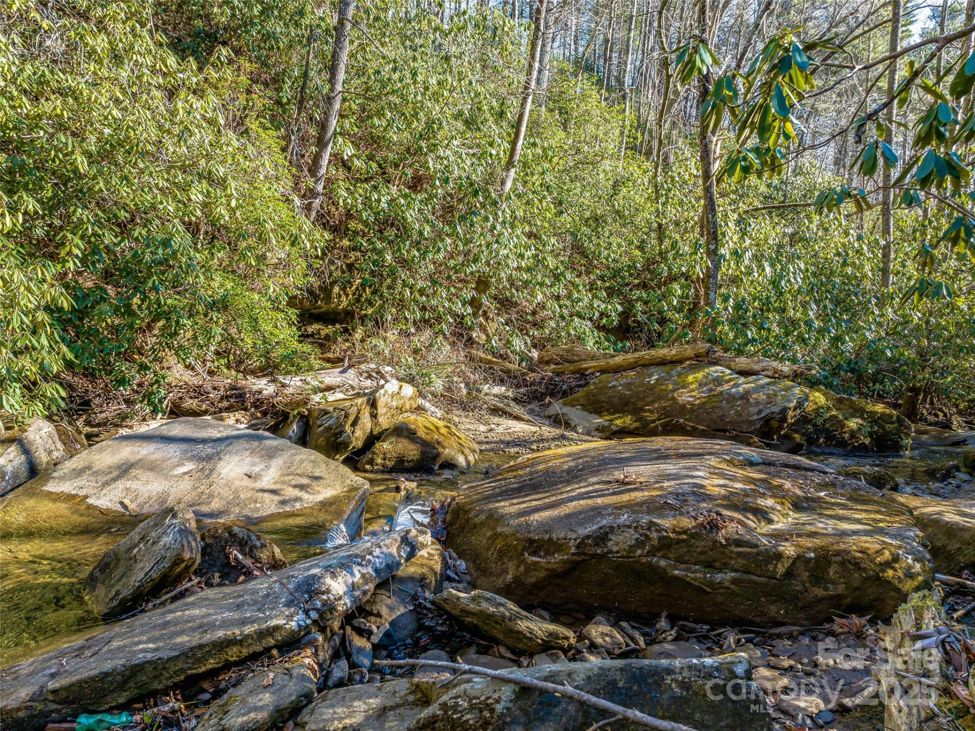 1411 Cabin Creek Road - Photo 45