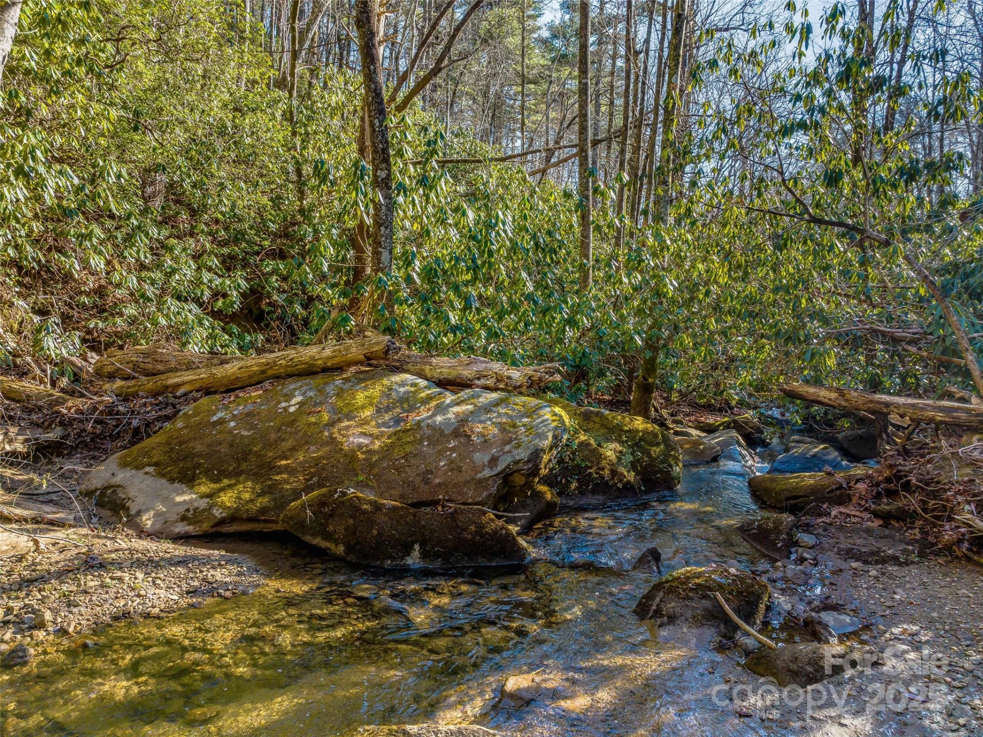 1411 Cabin Creek Road - Photo 46