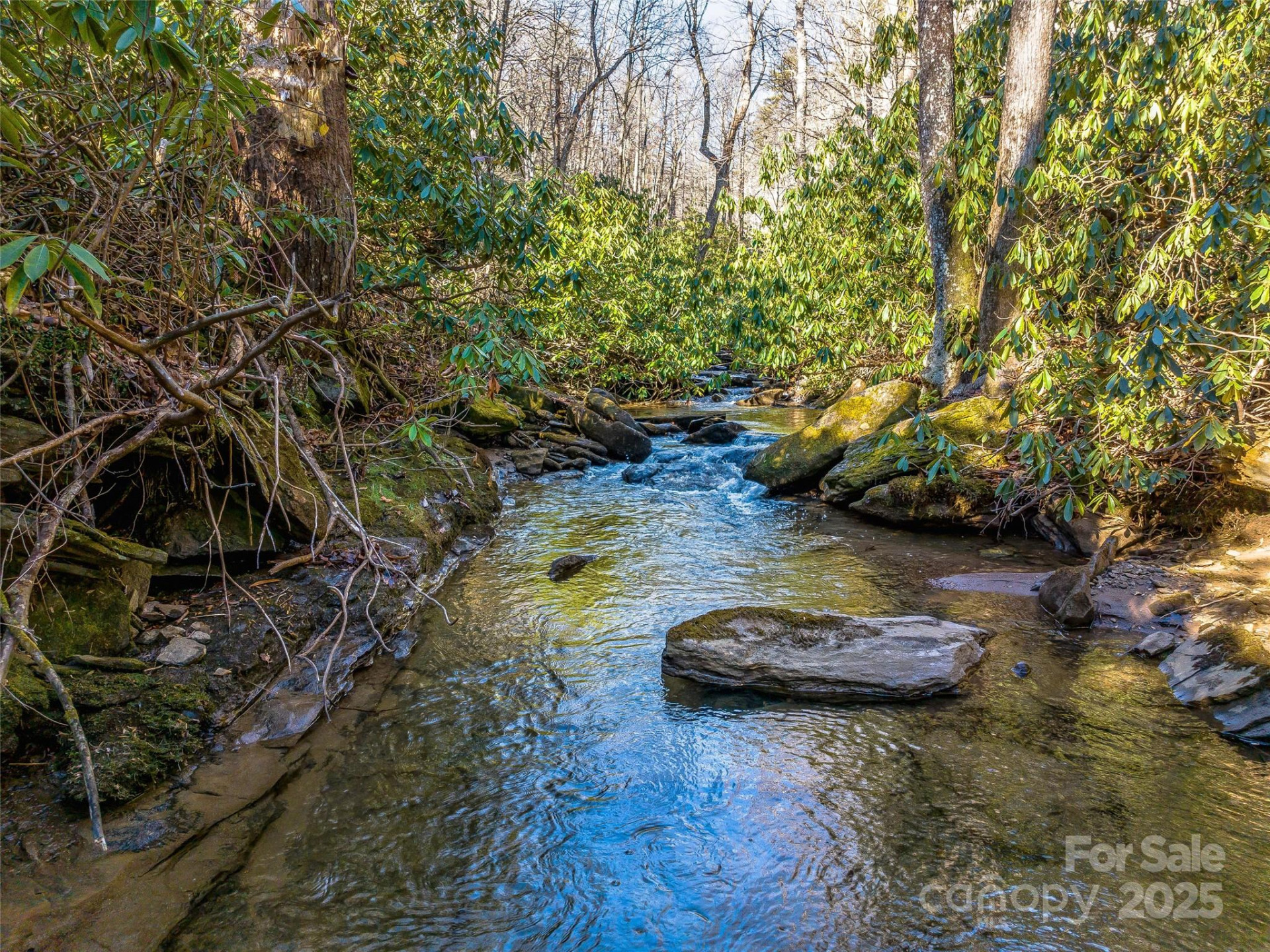 1411 Cabin Creek Road - Photo 47
