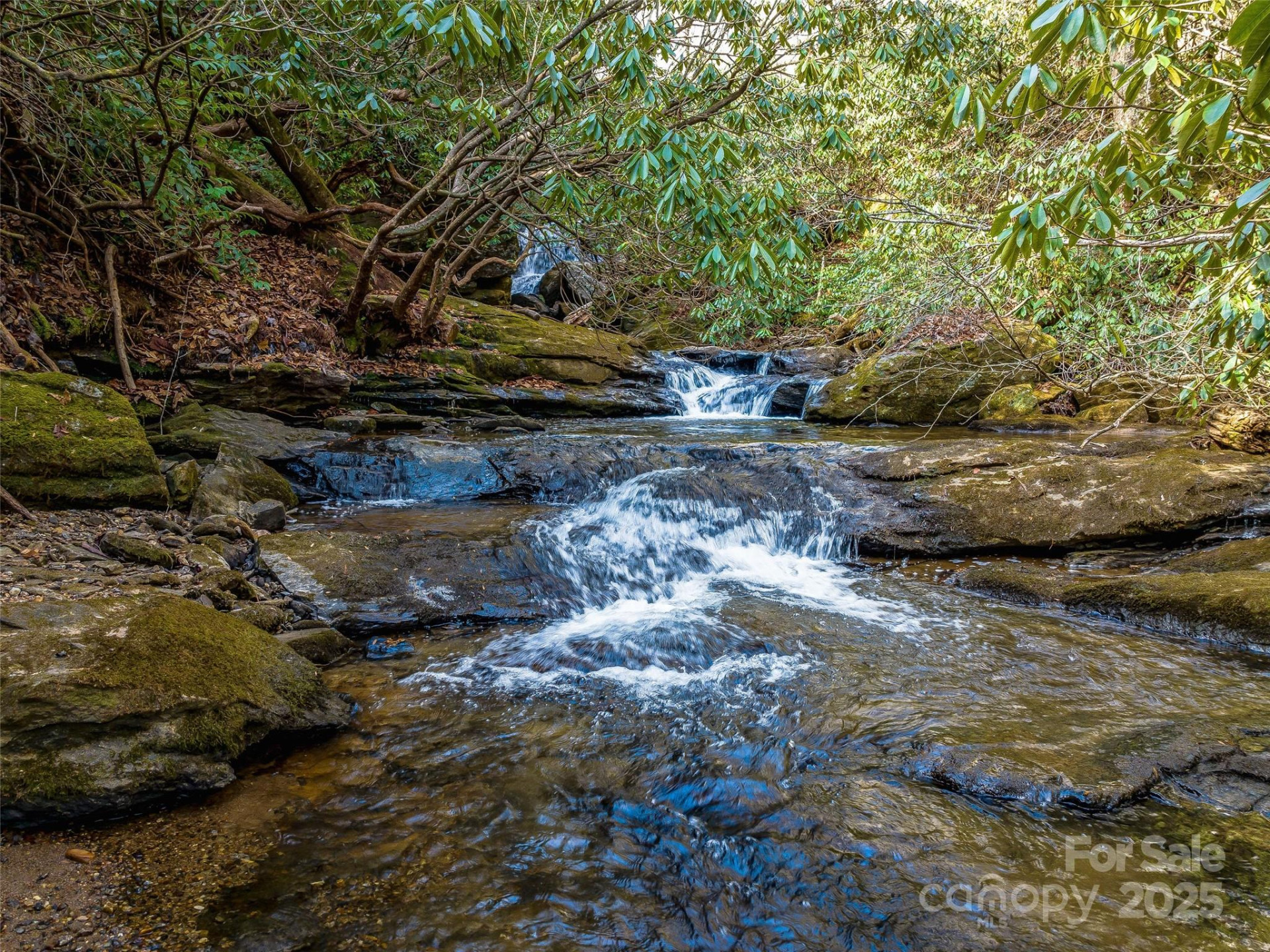 1411 Cabin Creek Road - Photo 48