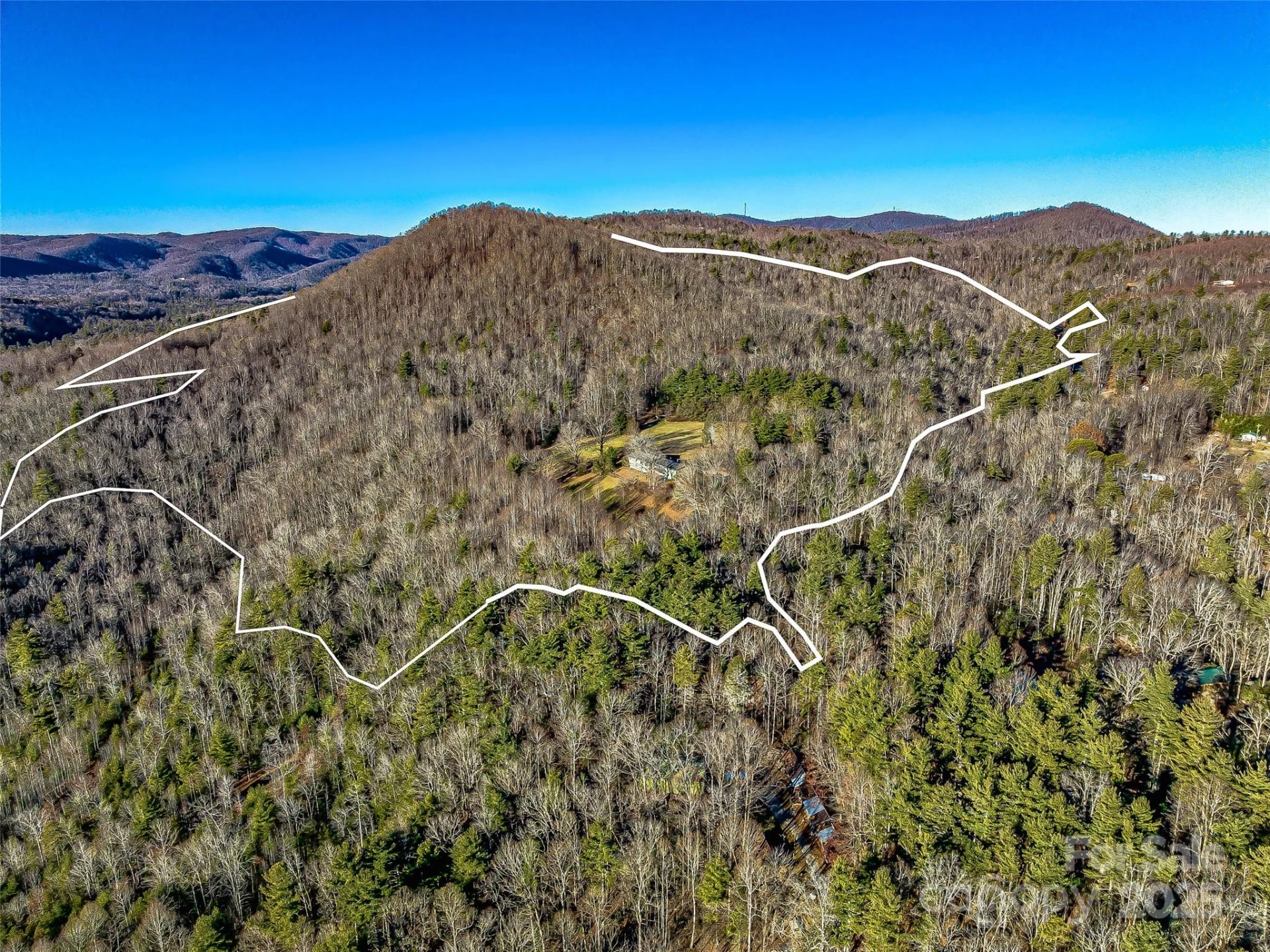 1411 Cabin Creek Road - Photo 6