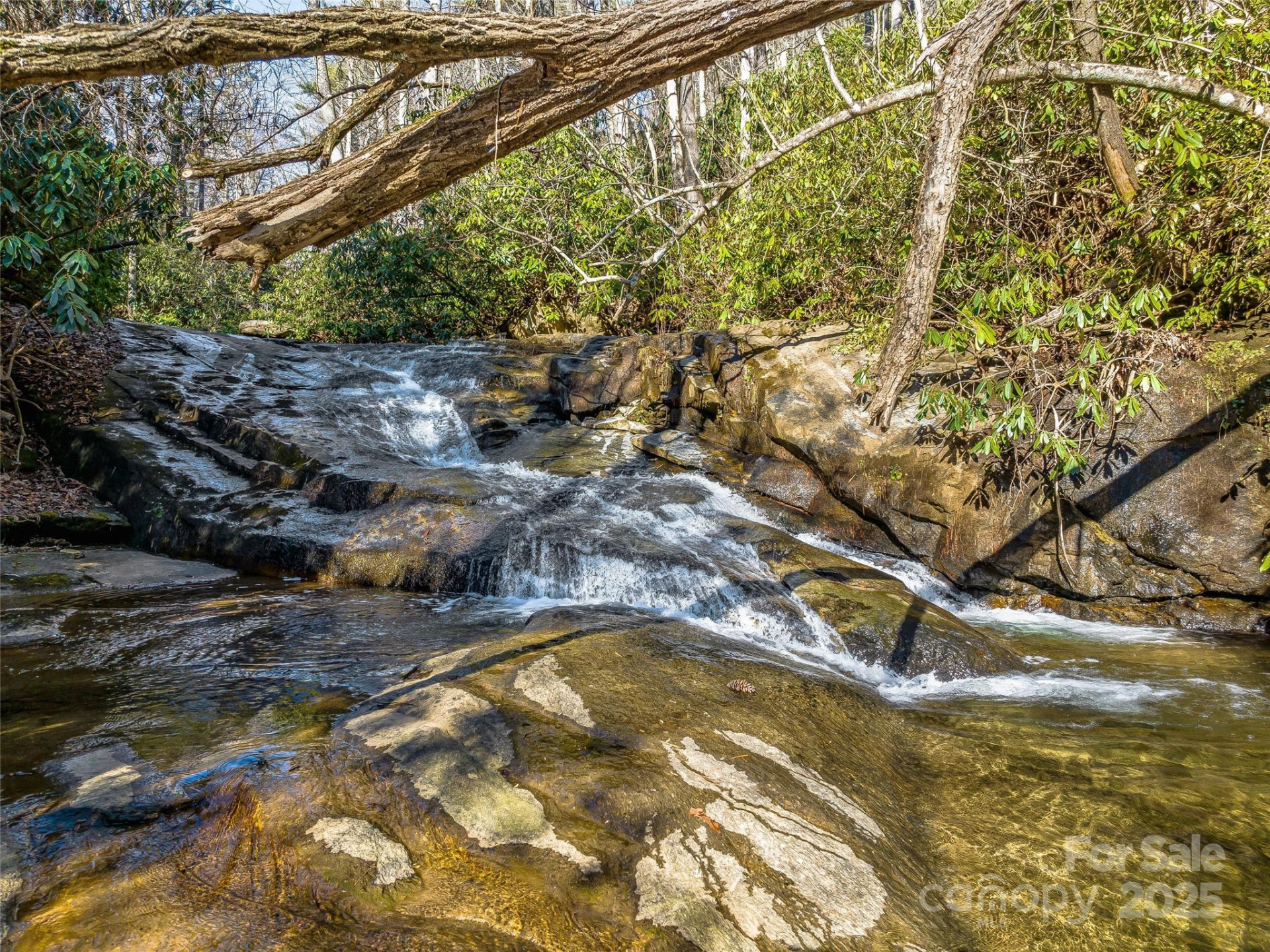 1411 Cabin Creek Road - Photo 9