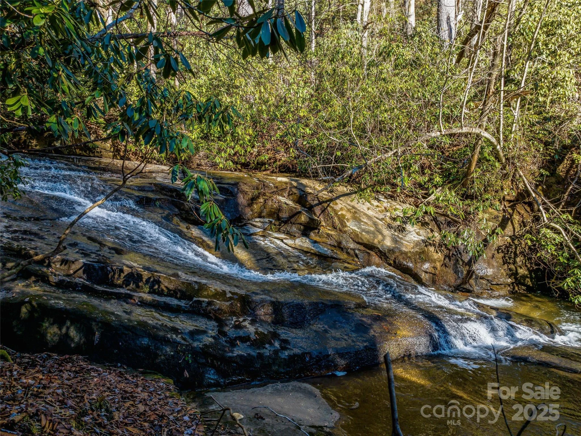 1411 Cabin Creek Road - Photo 10