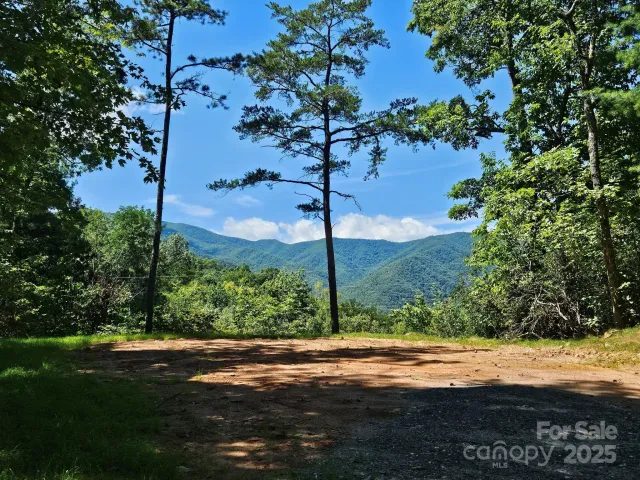 0 Blue Vista Road, Canton, NC, 28716