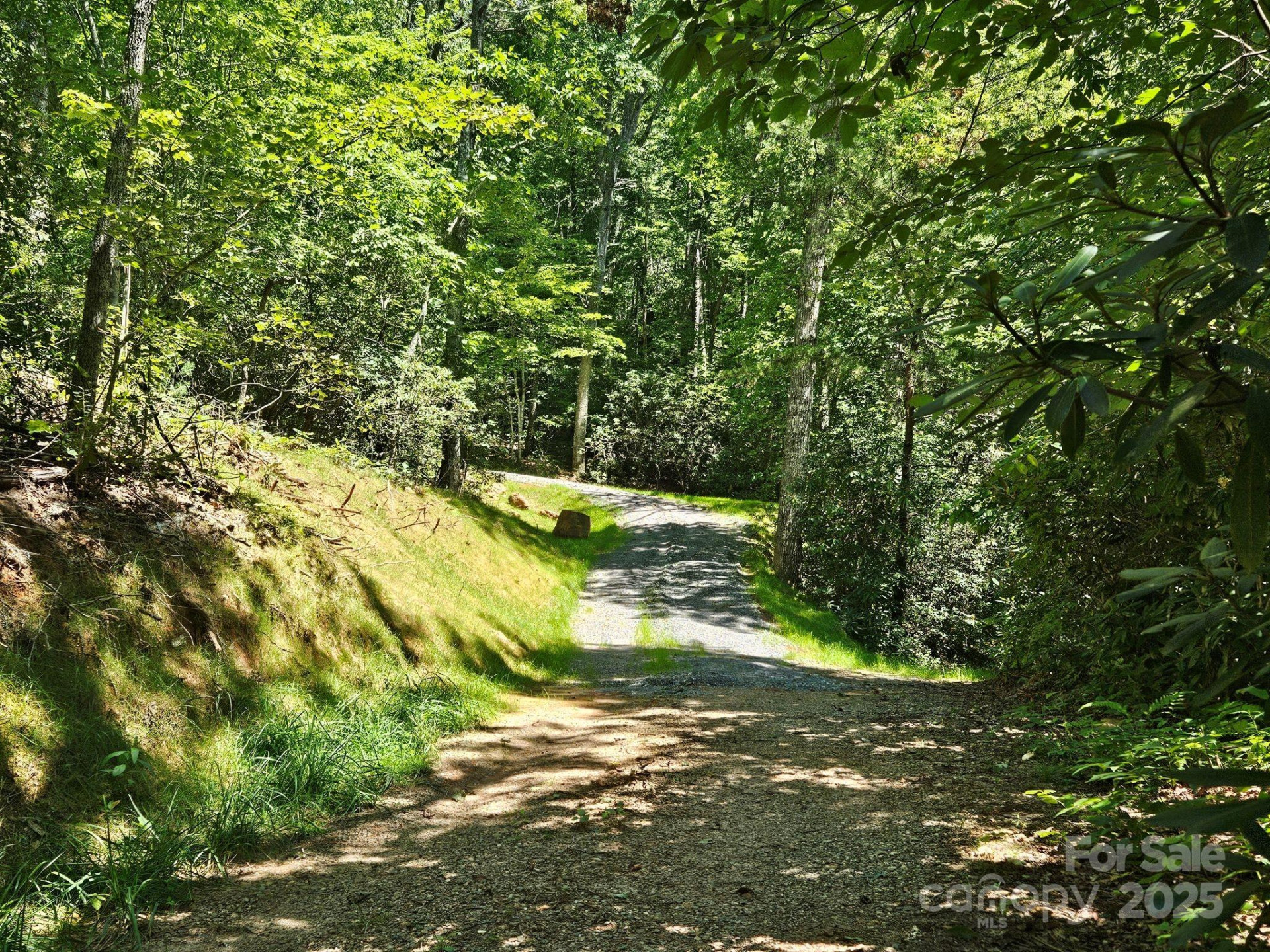 0 Blue Vista Road #1 - Photo 3