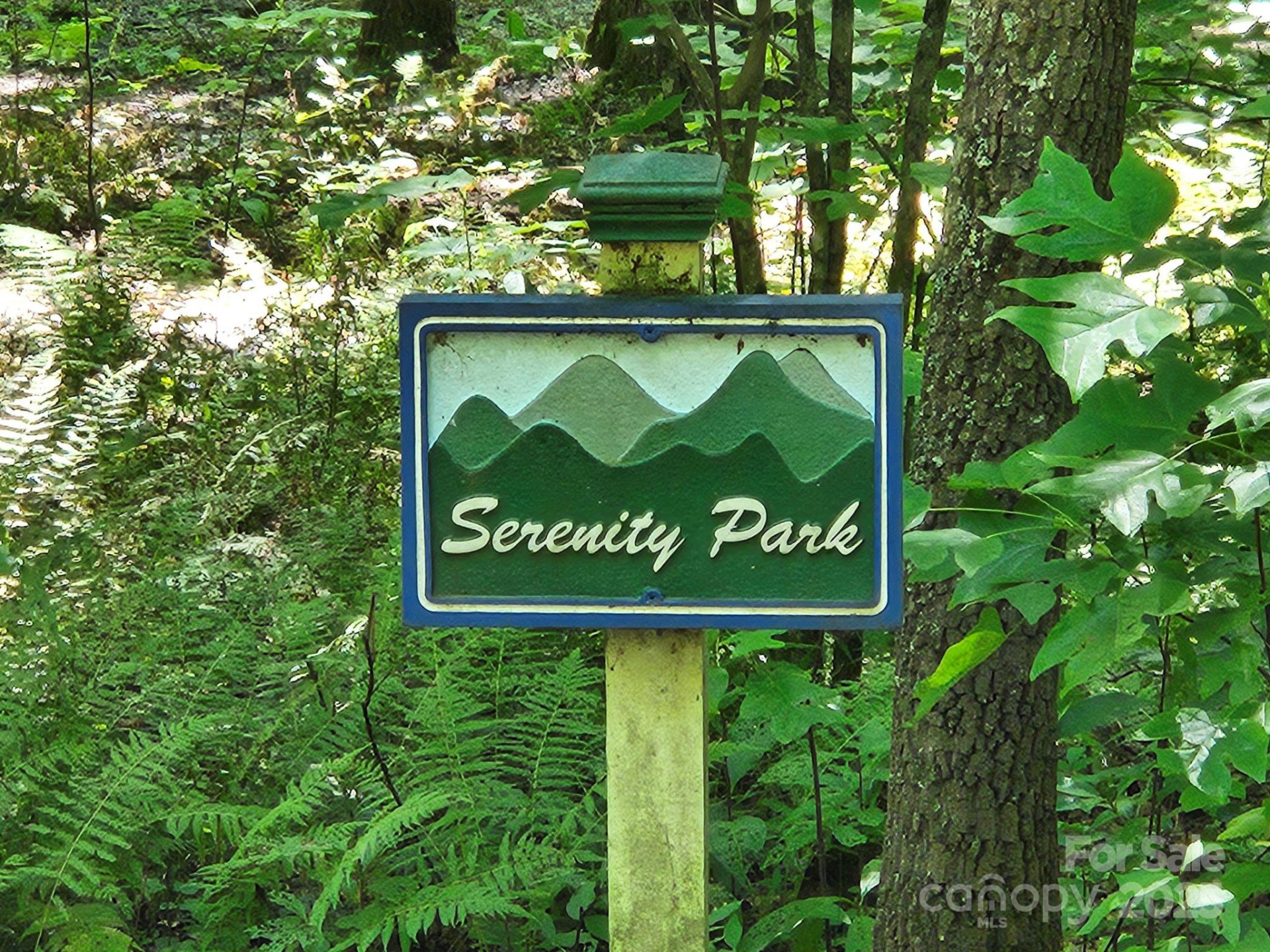 0 Blue Vista Road #1 - Photo 9