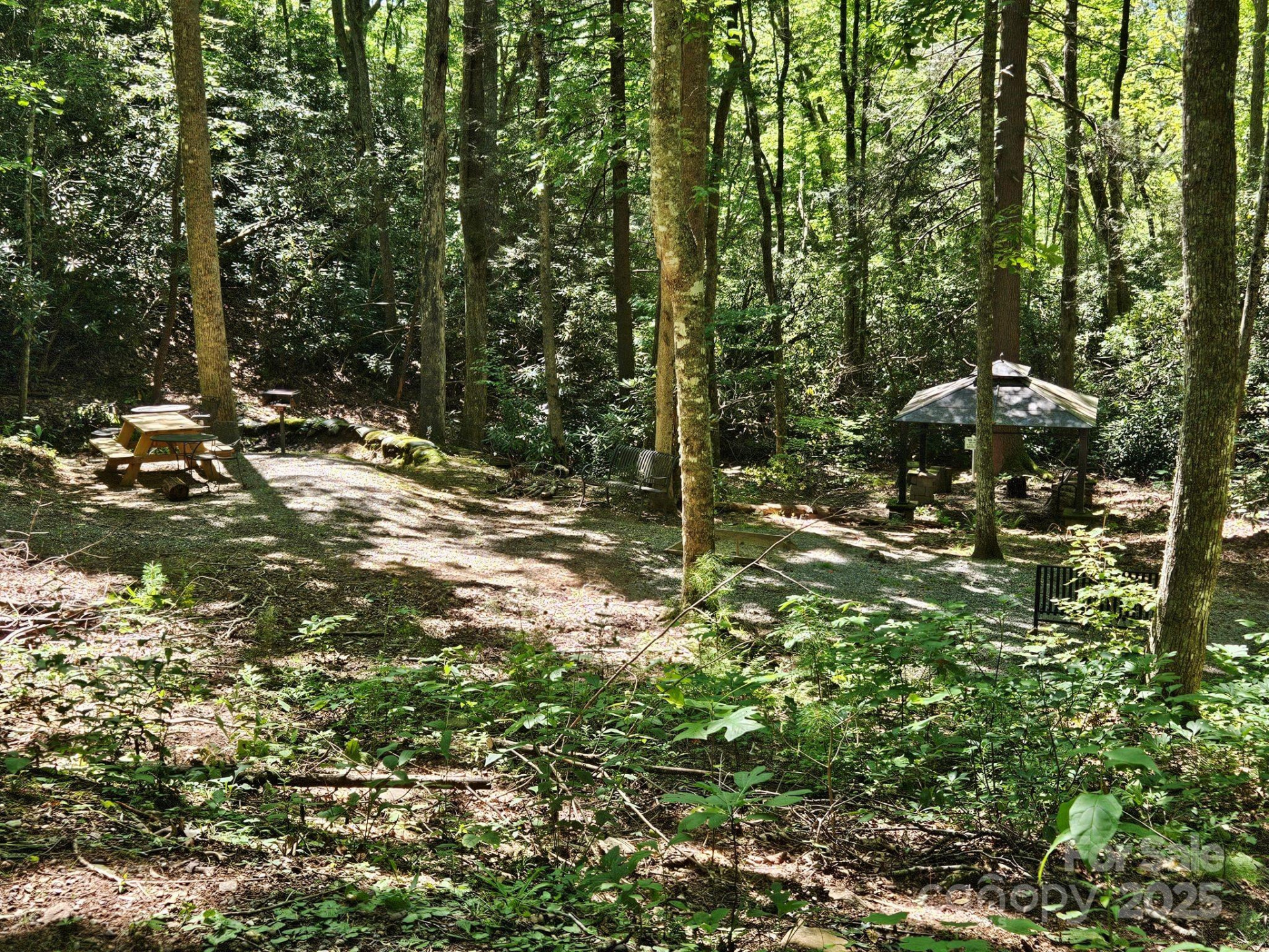 0 Blue Vista Road #1 - Photo 10