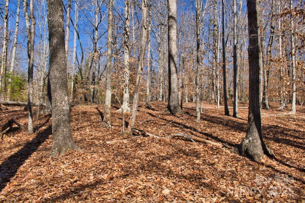 0 Cinnamon Ridge #404