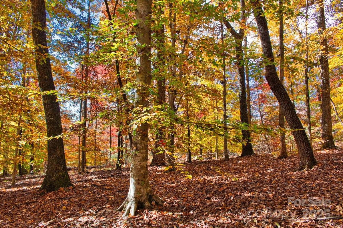 0 Cinnamon Ridge #404 - Photo 6