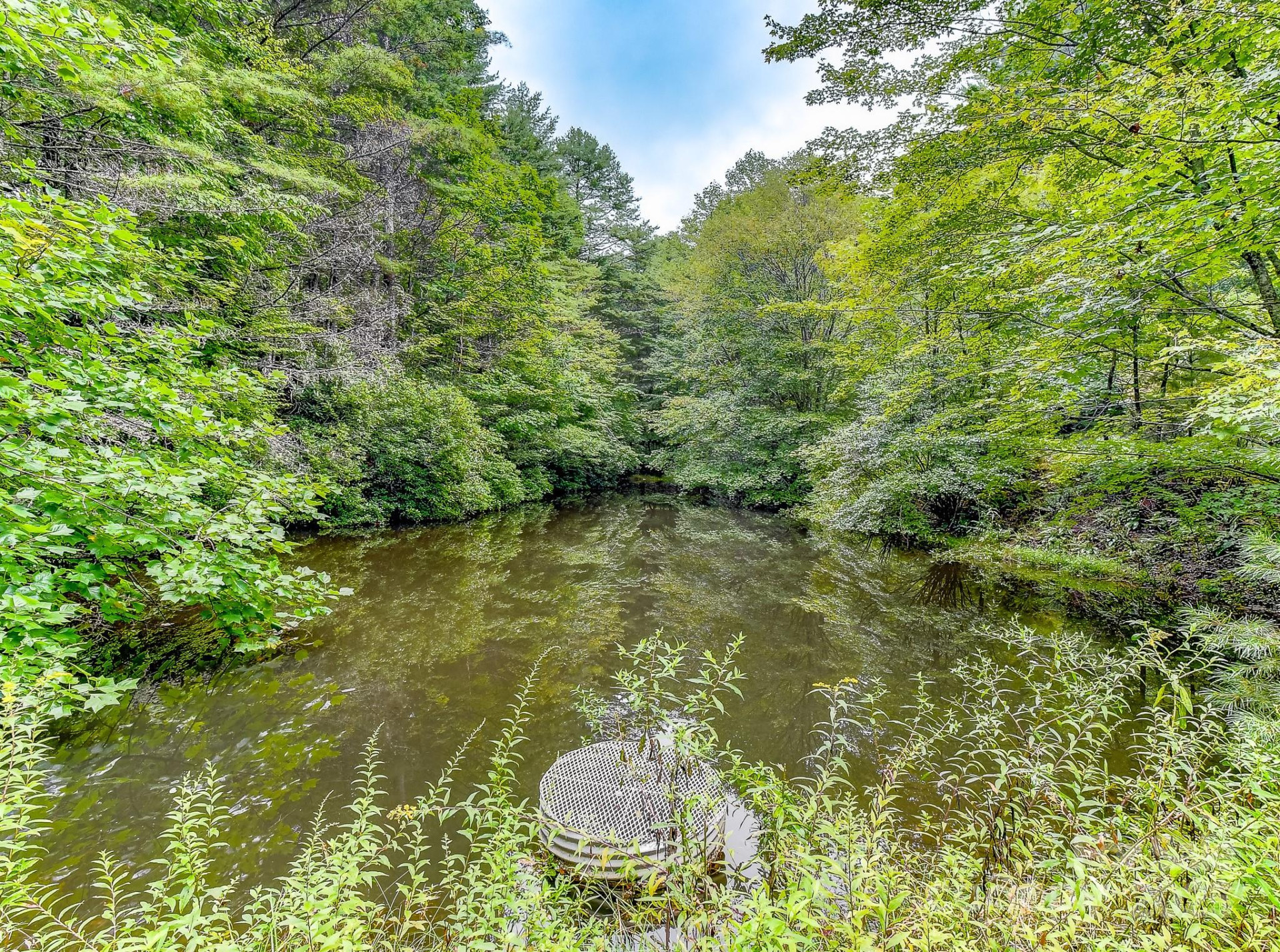 99999 Thunder Road - Photo 2