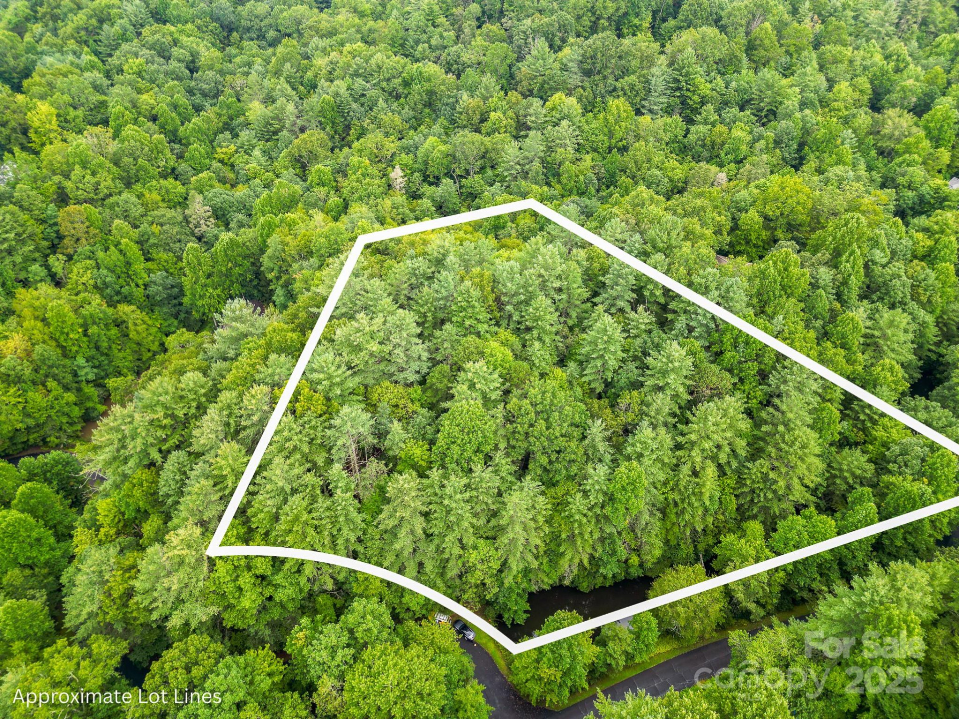 99999 Thunder Road - Photo 11