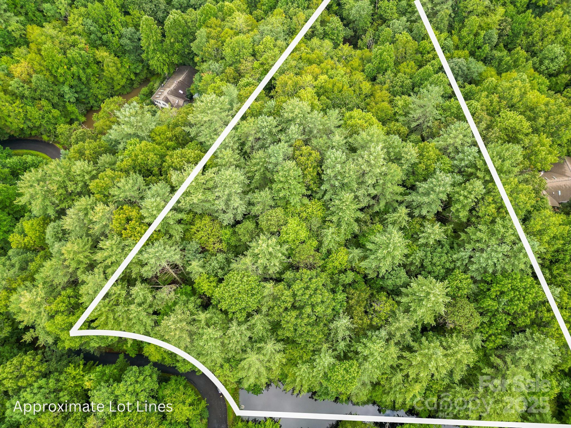 99999 Thunder Road - Photo 12