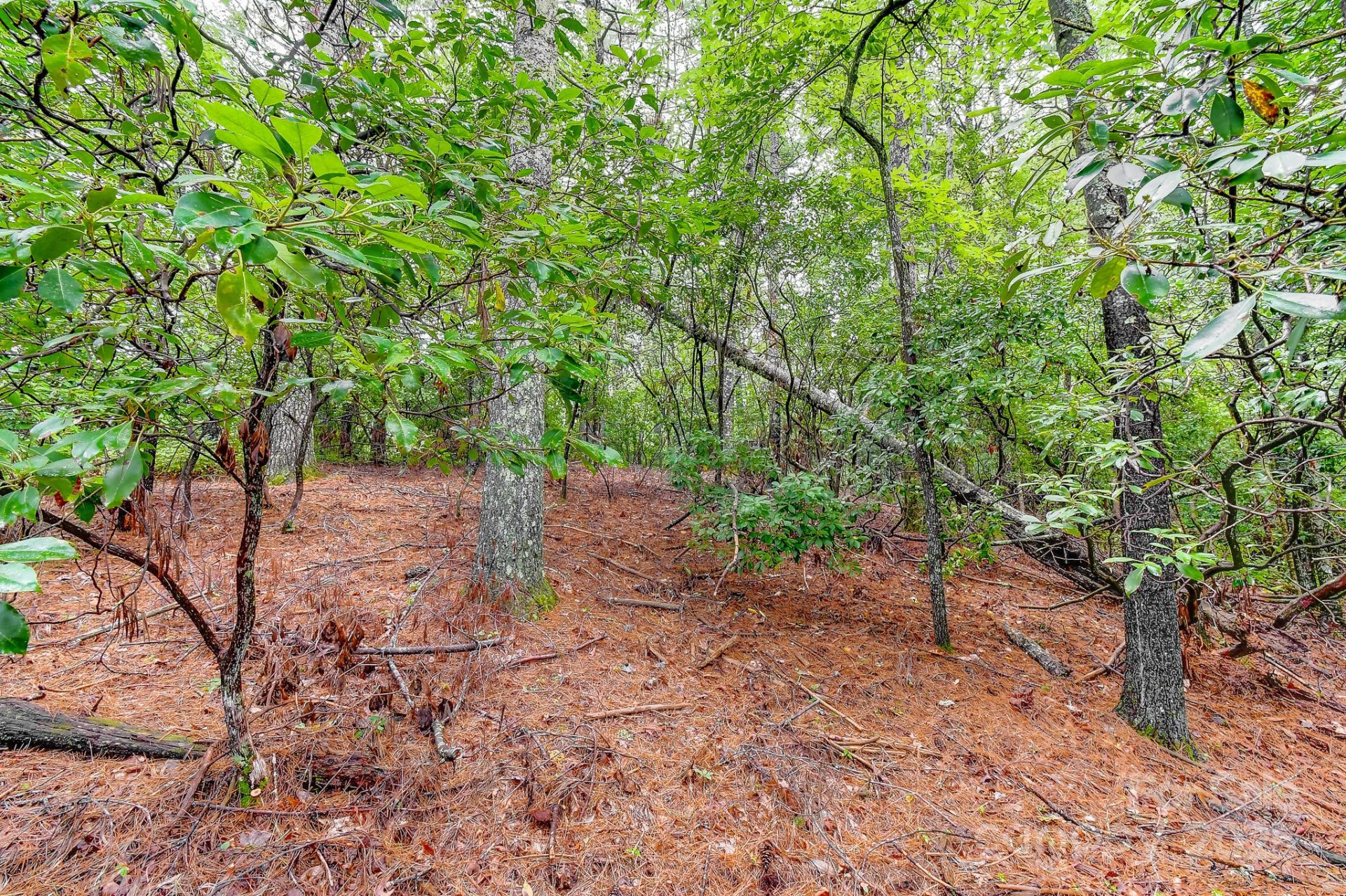 99999 Thunder Road - Photo 3