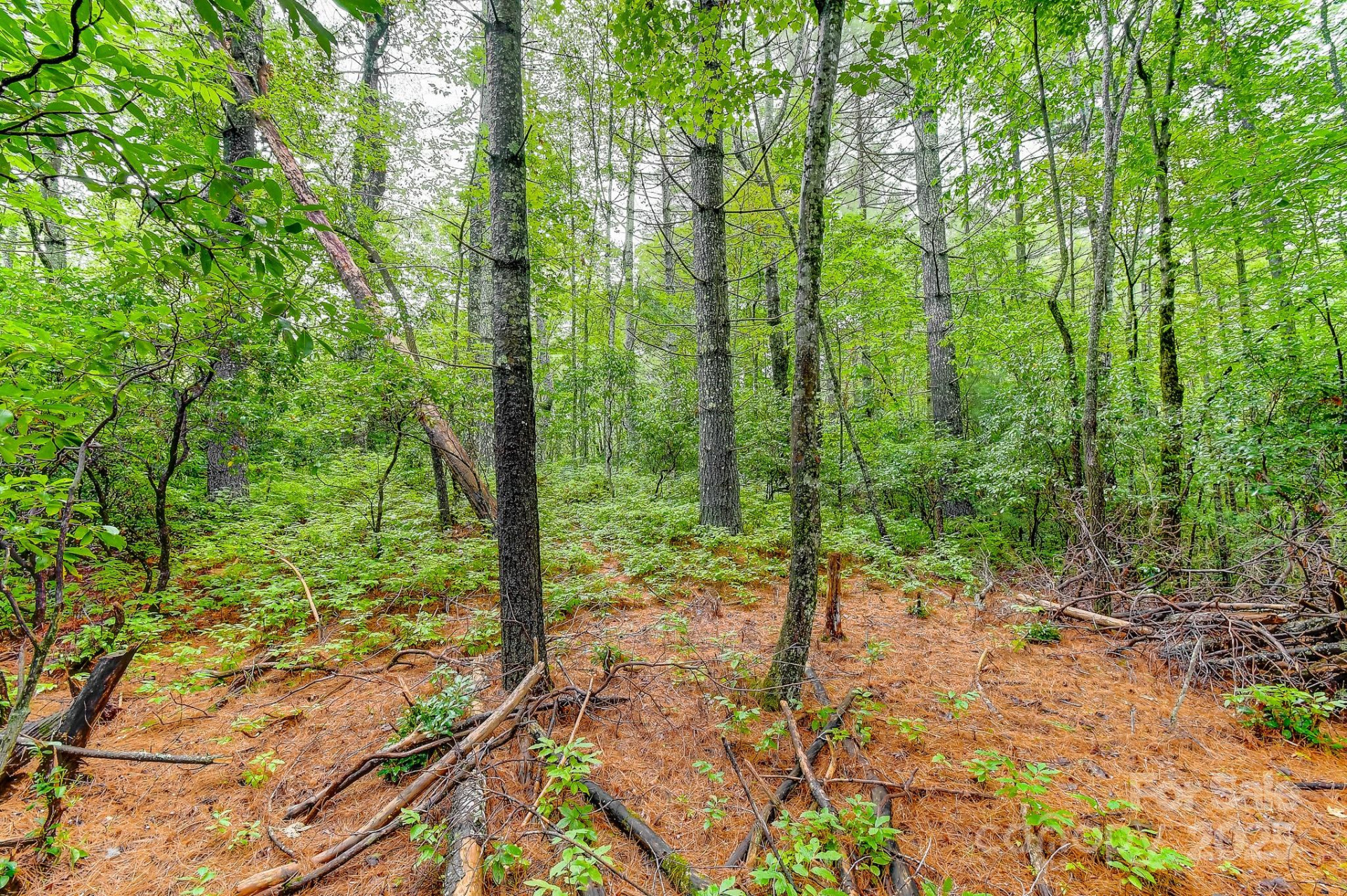 99999 Thunder Road - Photo 4