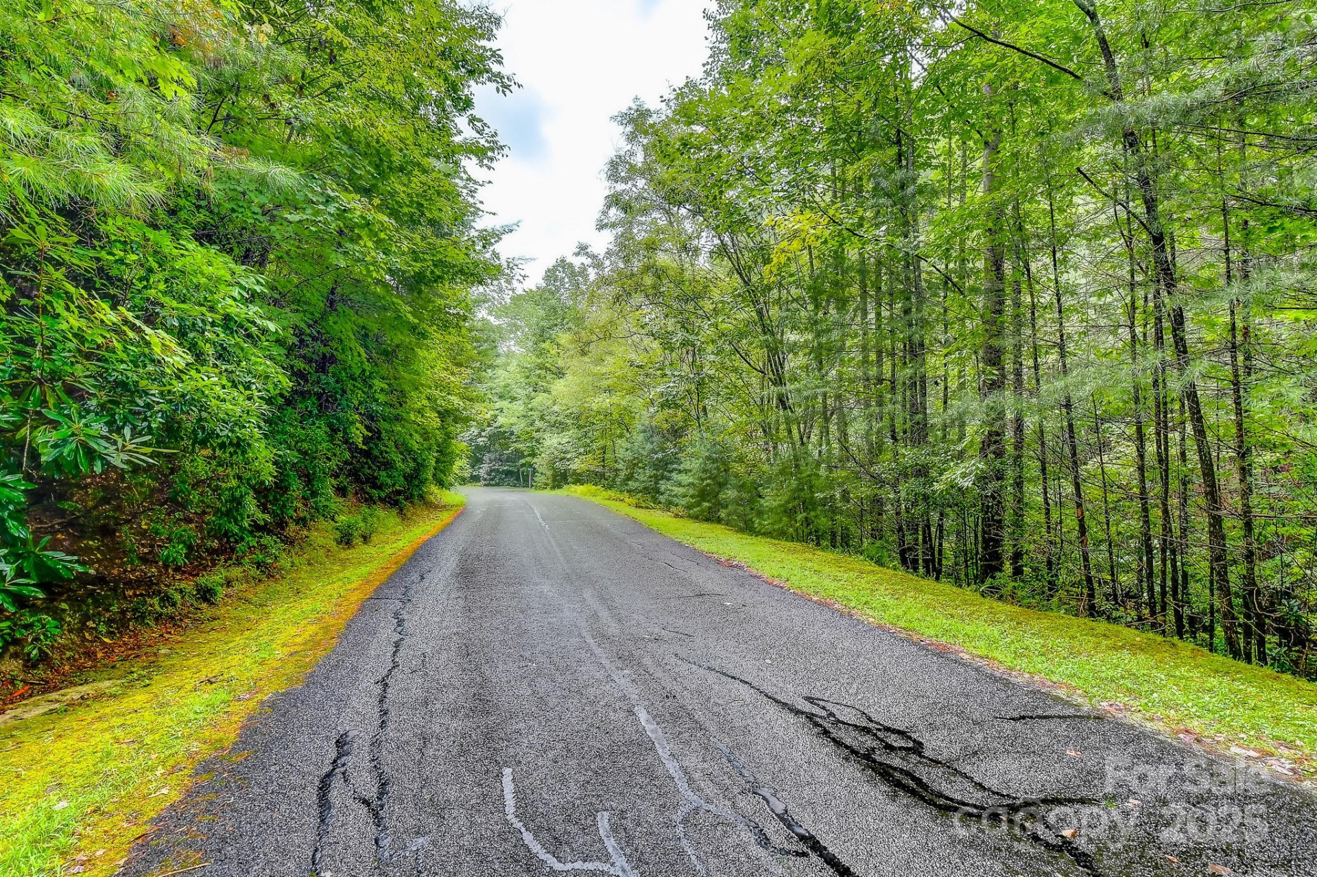 99999 Thunder Road - Photo 8