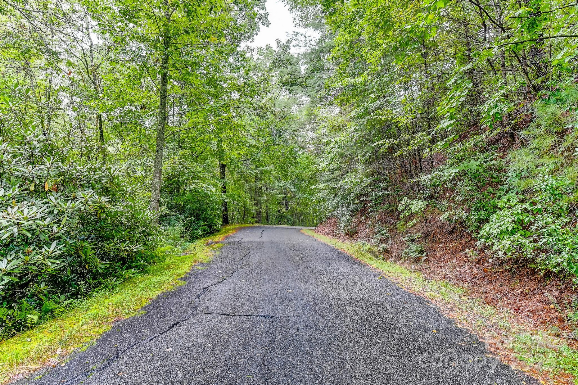 99999 Thunder Road - Photo 9