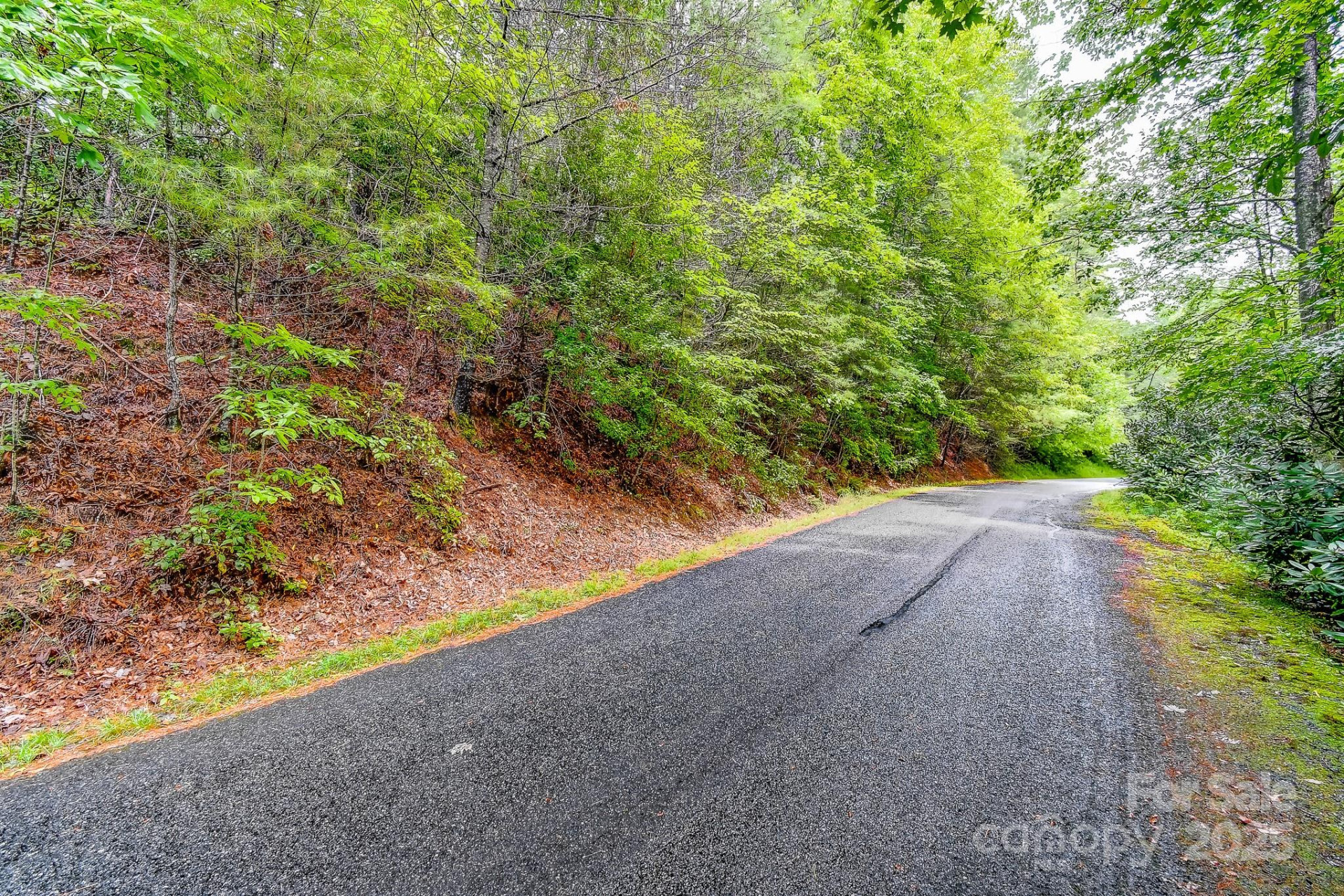 99999 Thunder Road - Photo 10