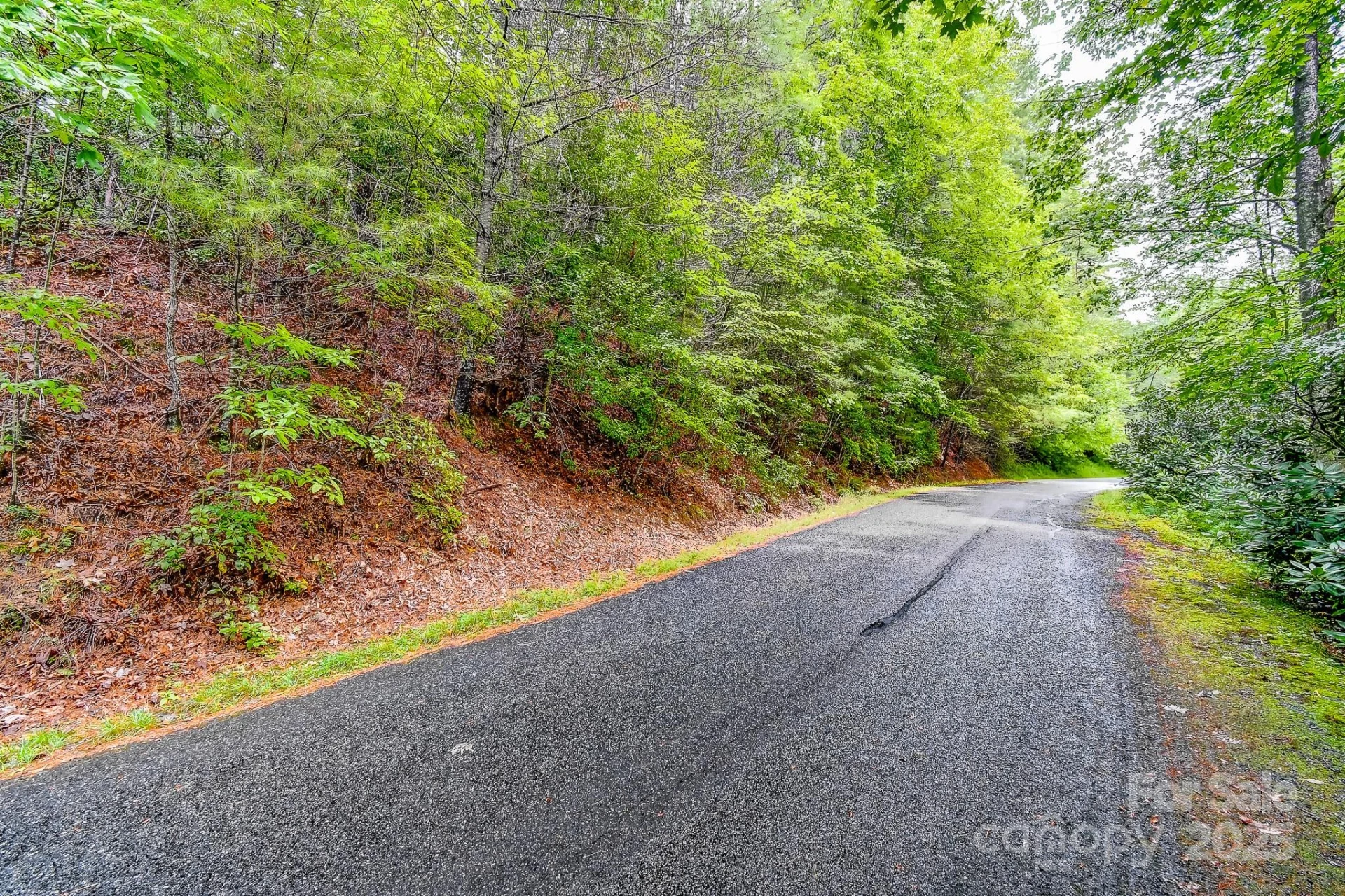 99999 Thunder Road - Photo 10
