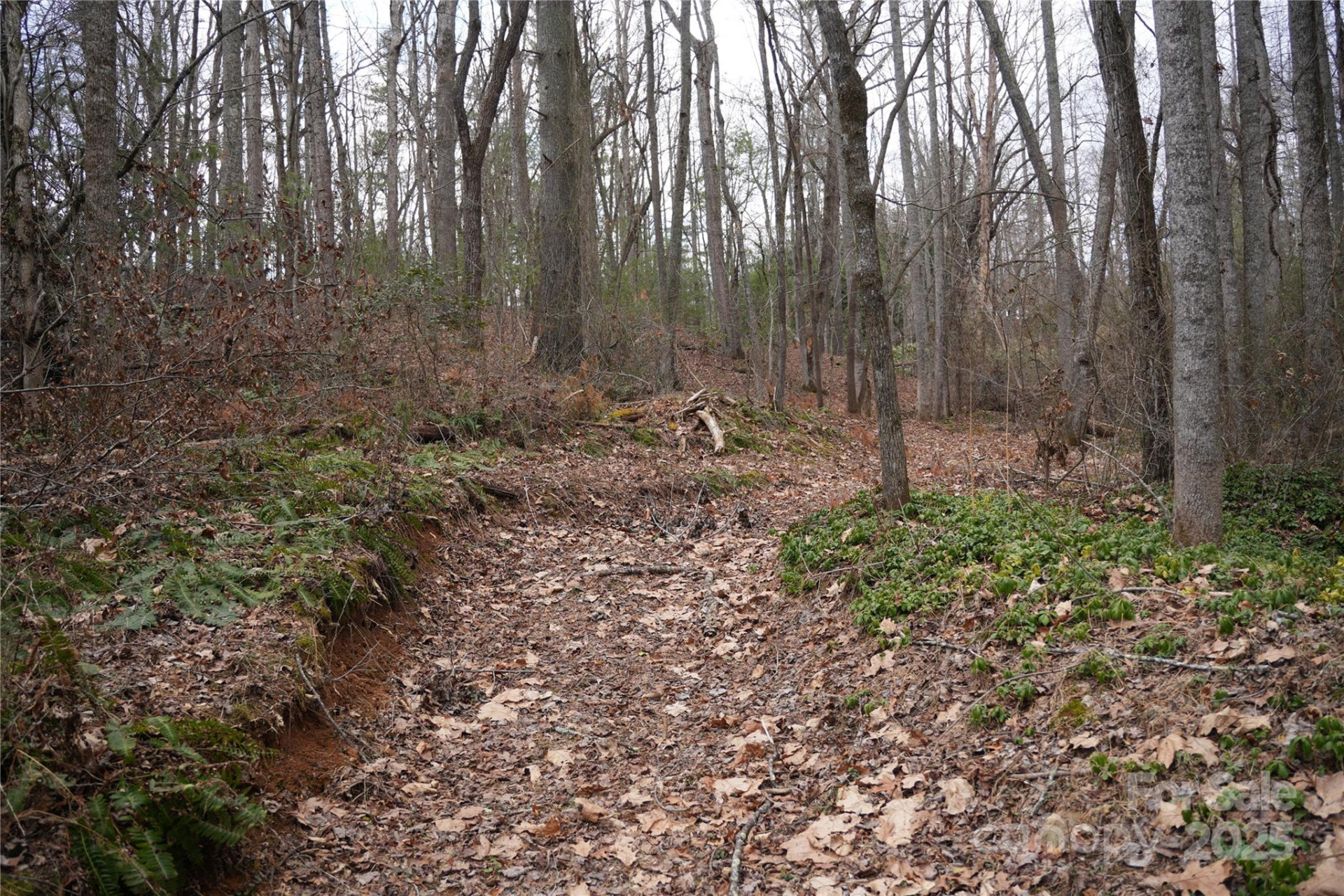741 Glenn Bridge Road - Photo 2