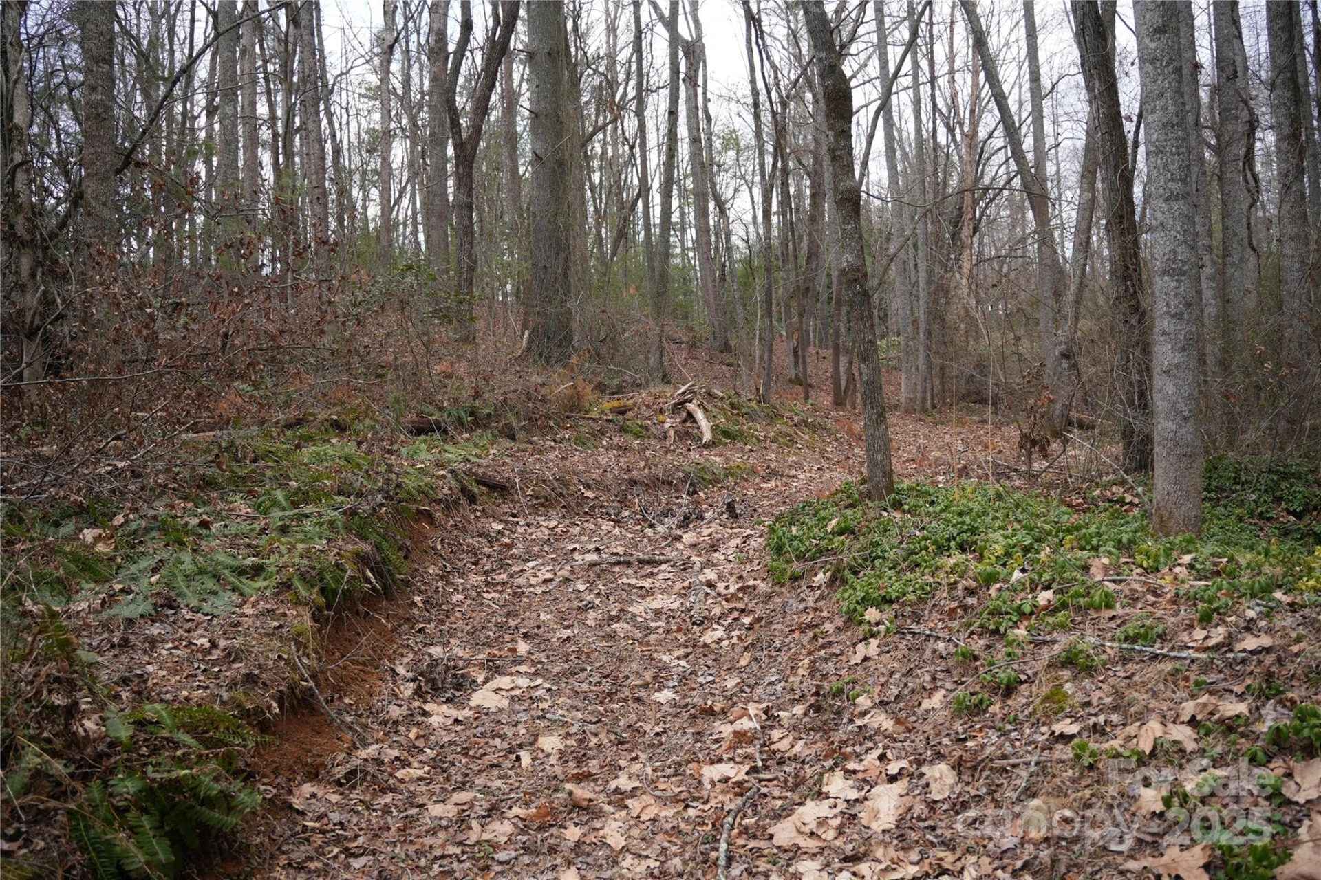 741 Glenn Bridge Road - Photo 2