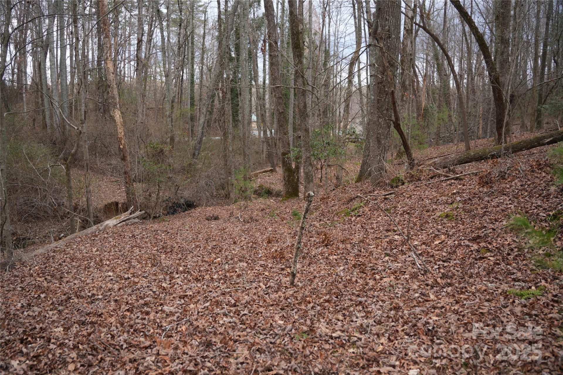 741 Glenn Bridge Road - Photo 3