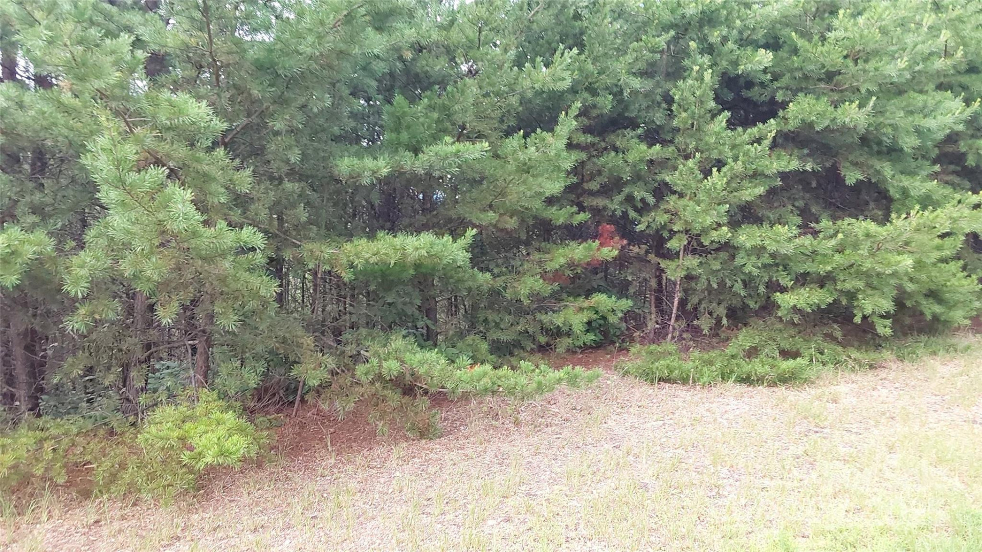 0 Brighton Drive - Photo 3