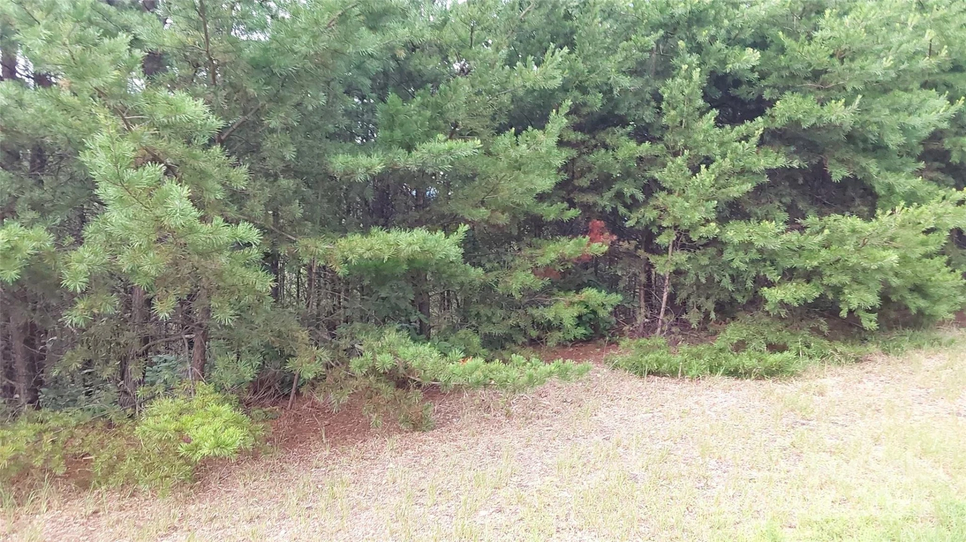 0 Brighton Drive - Photo 3