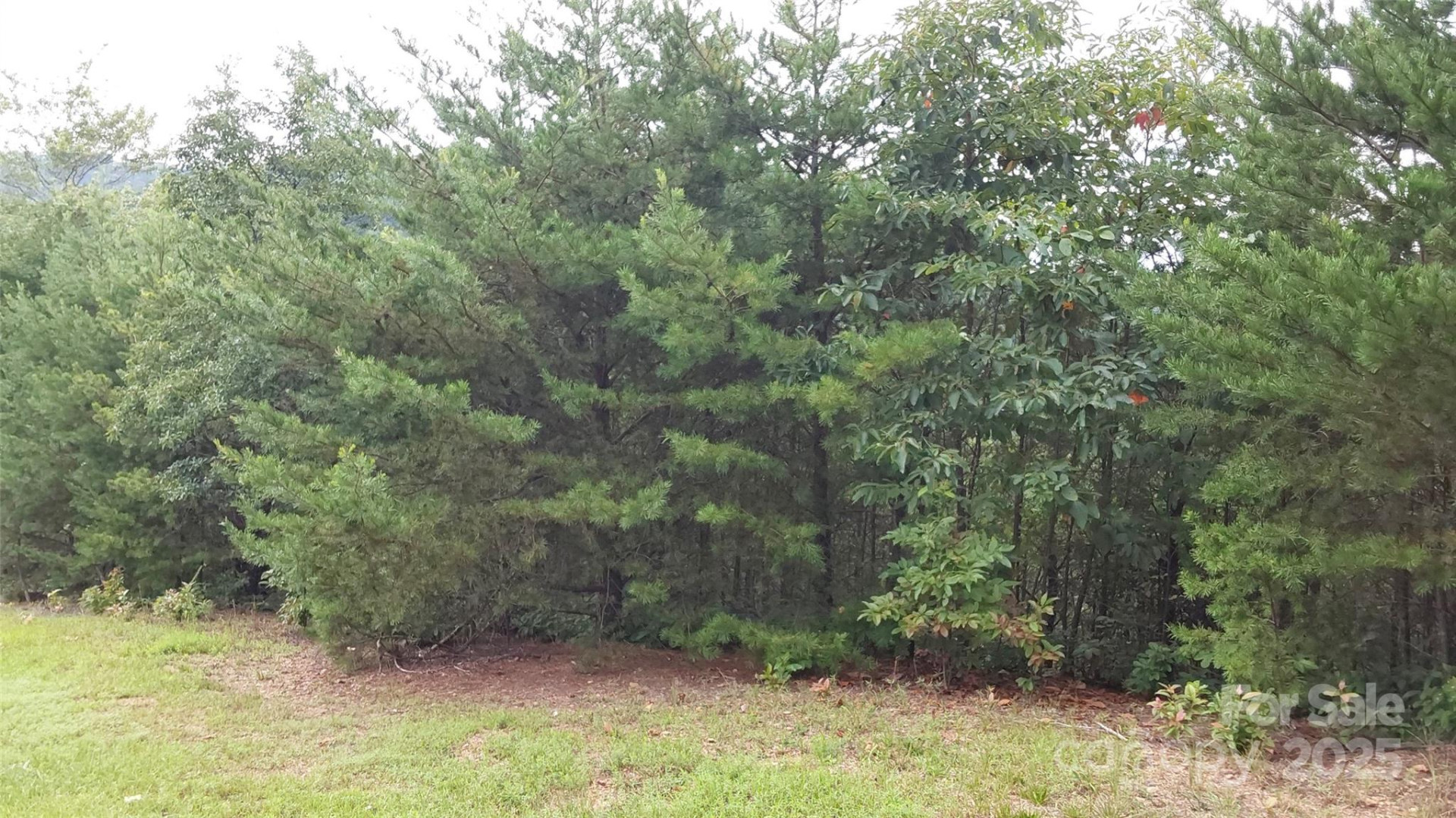 0 Brighton Drive - Photo 4