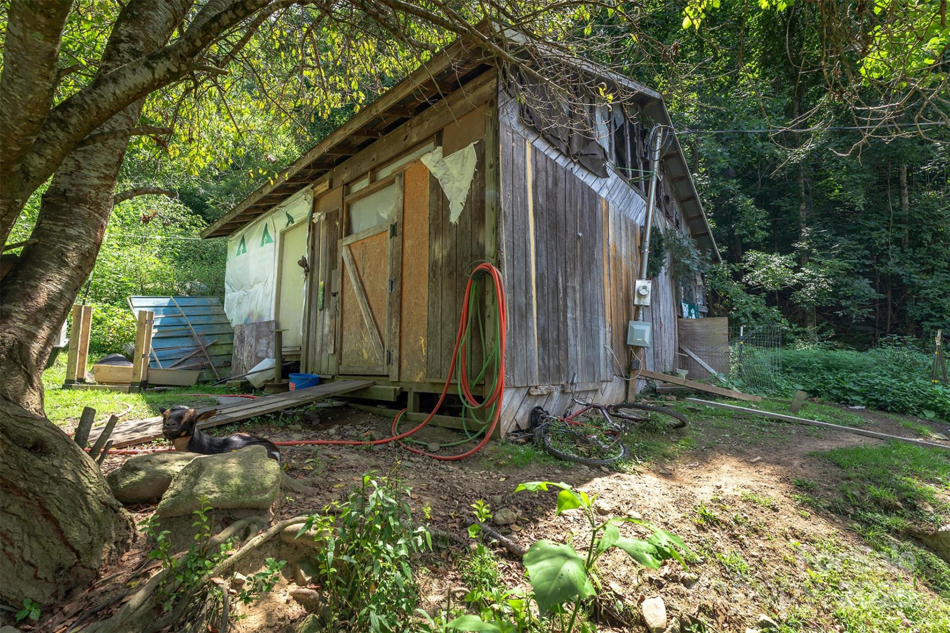 1145 Woolyshot Branch Road - Photo 32