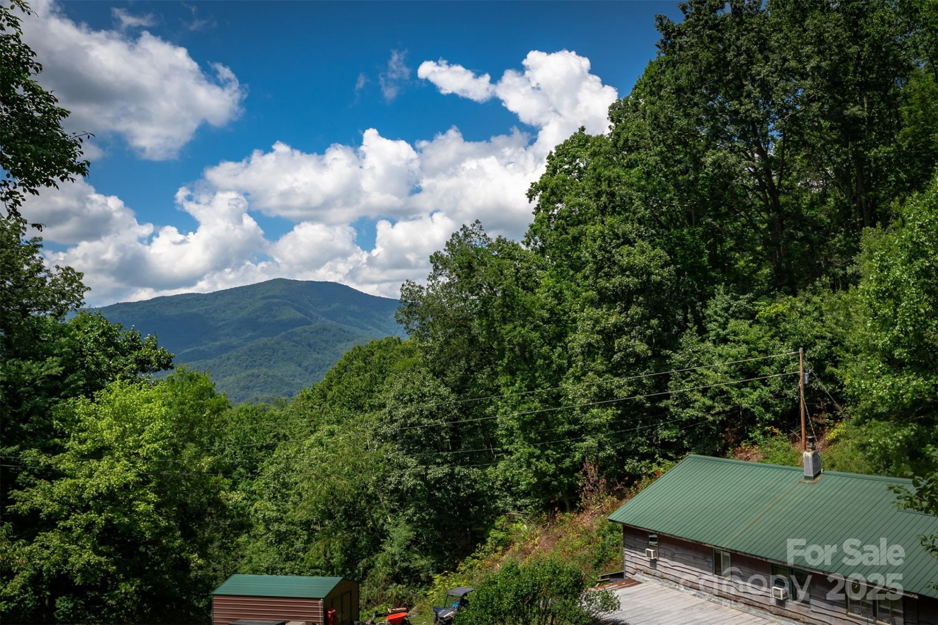 1145 Woolyshot Branch Road - Photo 35