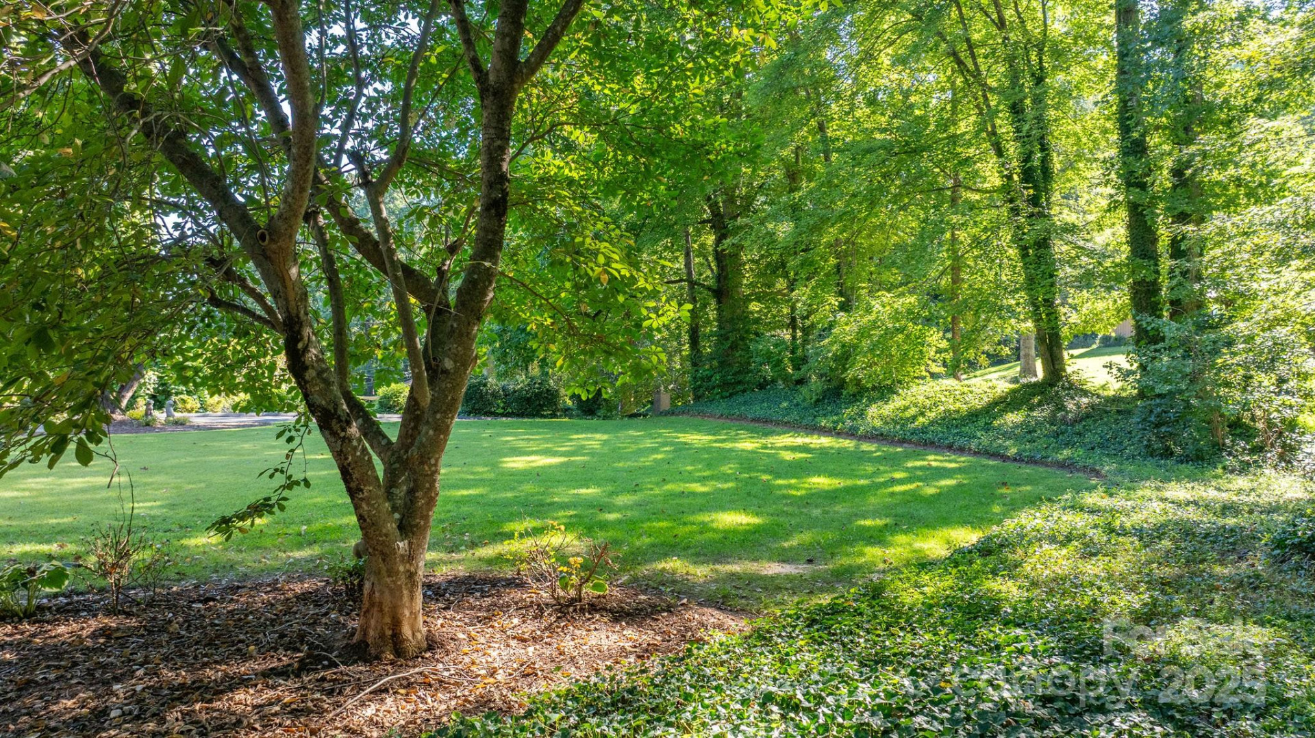 390 Forest Heights Drive - Photo 16