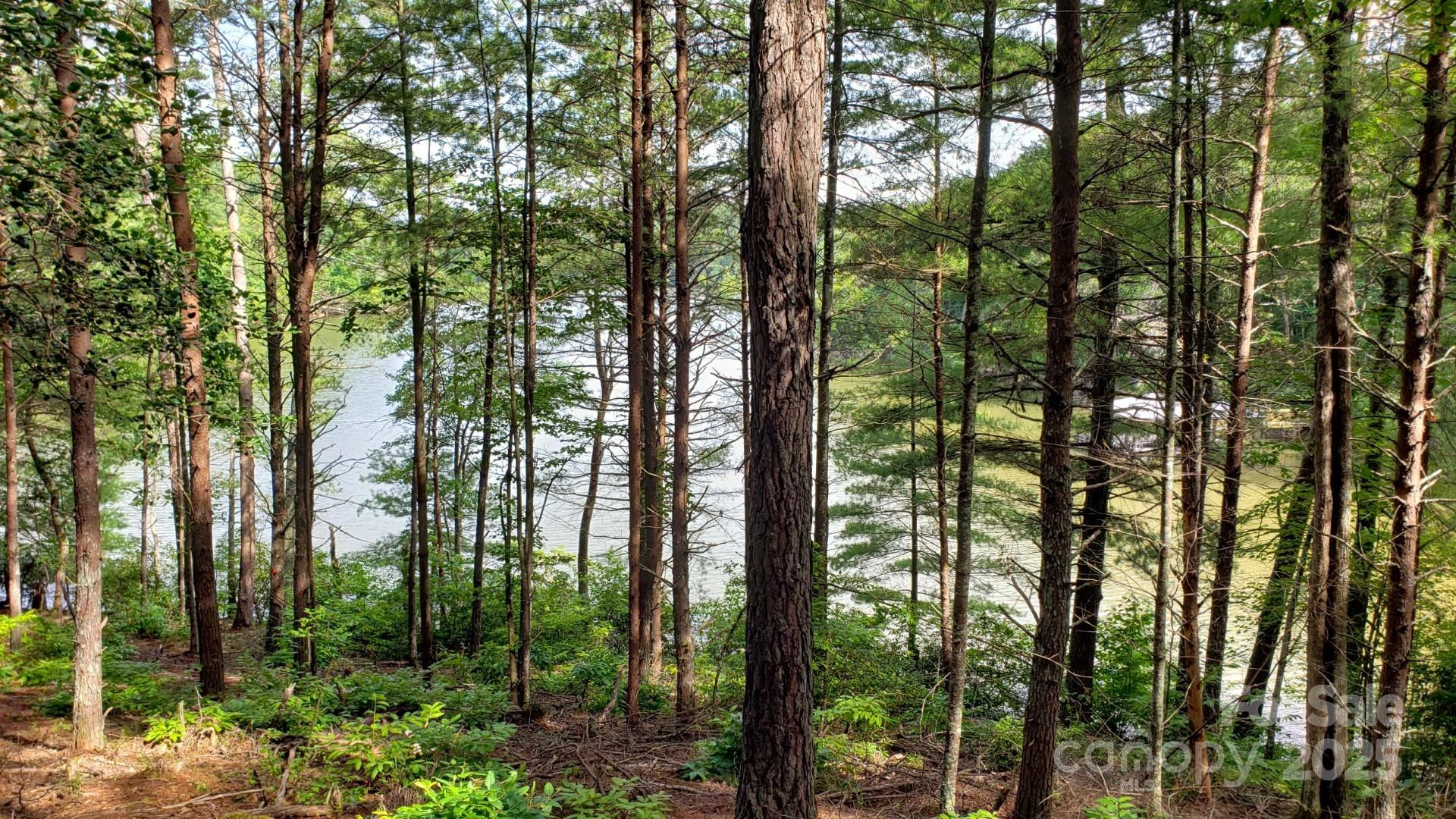 2254 Anchor Lane #110 - Photo 12