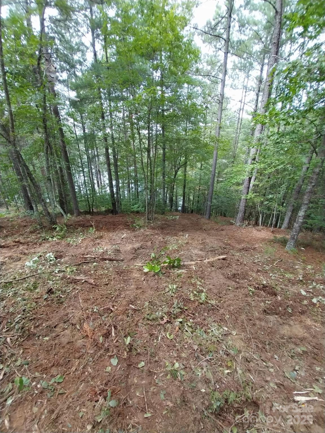 2254 Anchor Lane #110 - Photo 13