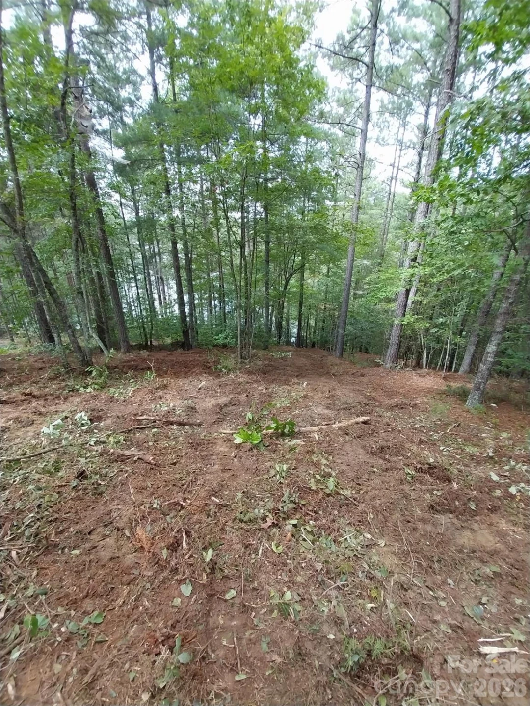 2254 Anchor Lane #110 - Photo 13
