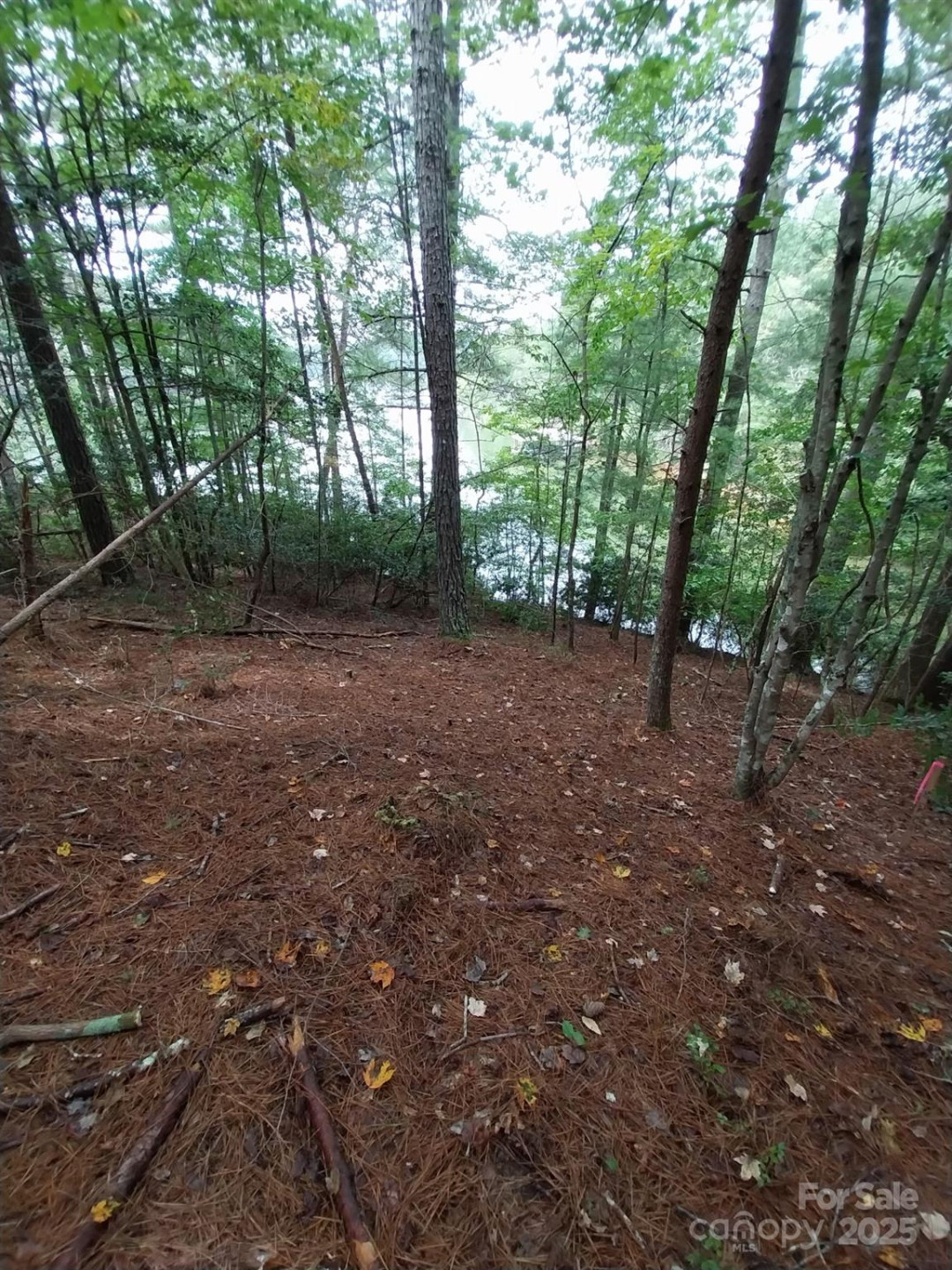 2254 Anchor Lane #110 - Photo 14