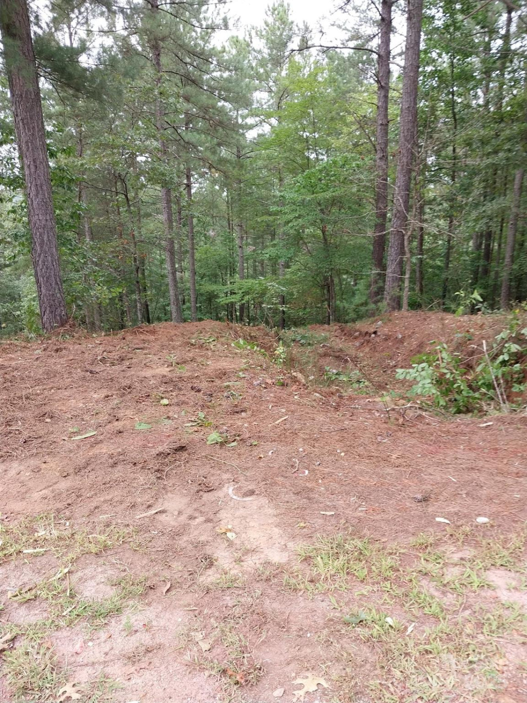 2254 Anchor Lane #110 - Photo 15